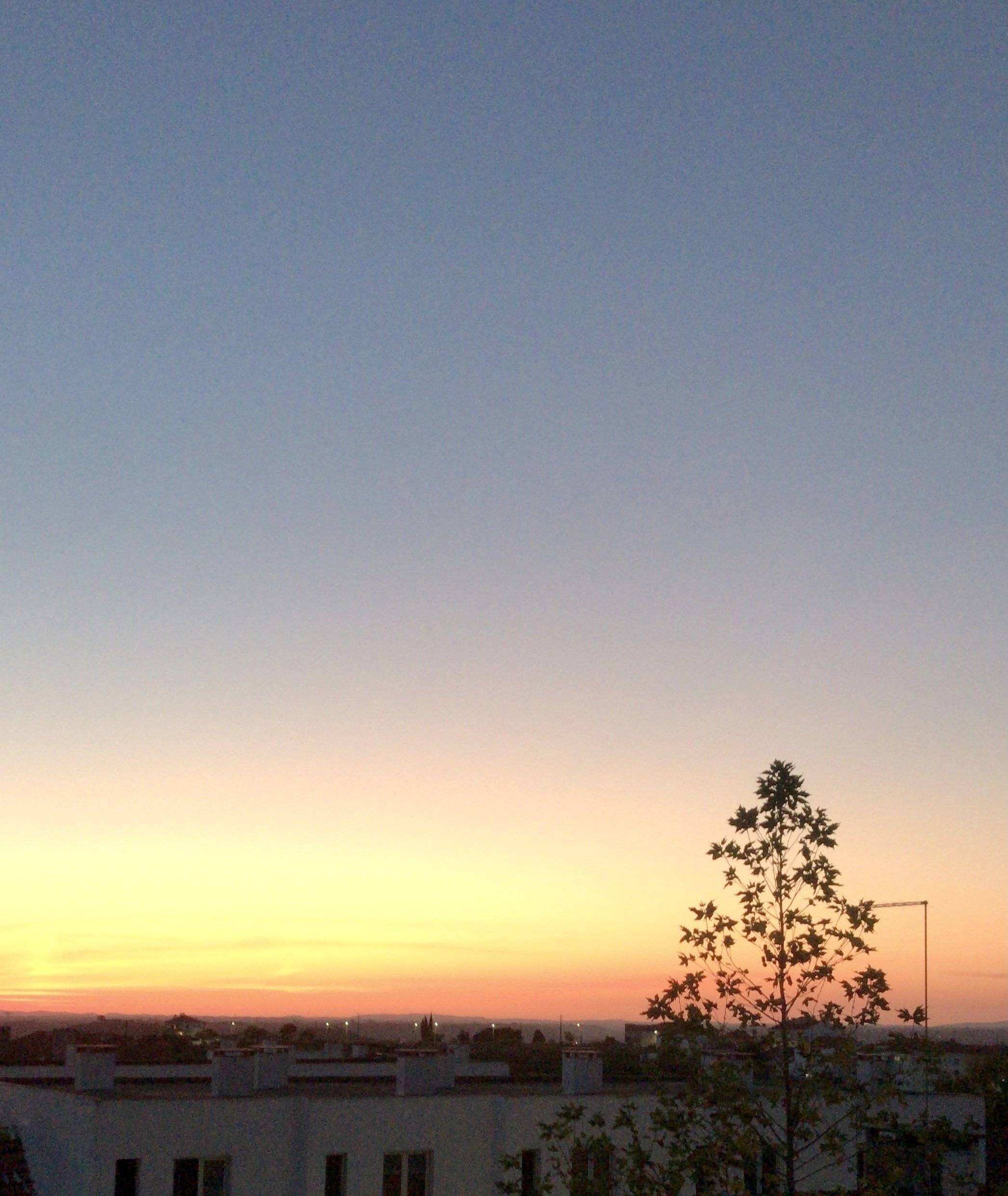 Ludospace Partner1,6 HDI 90 Ch