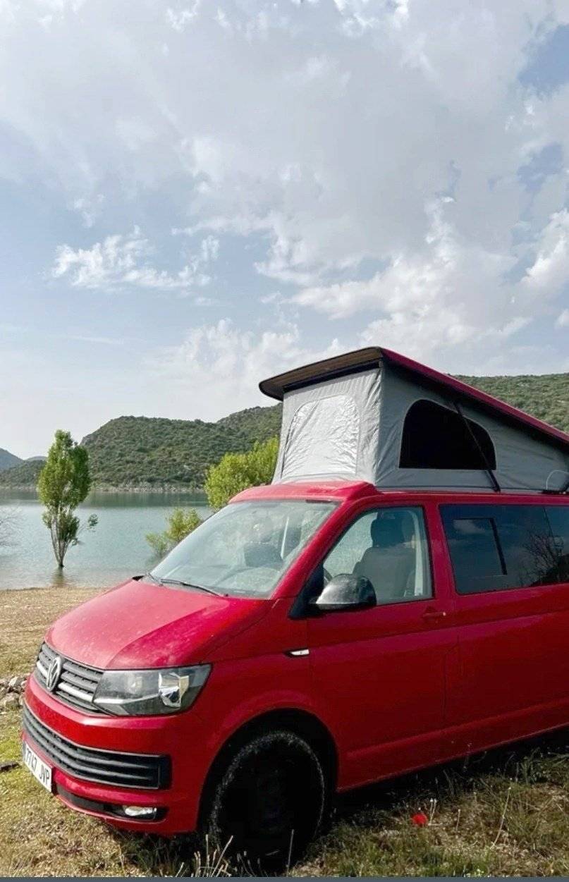 transporter Transporter T6 (Roja)