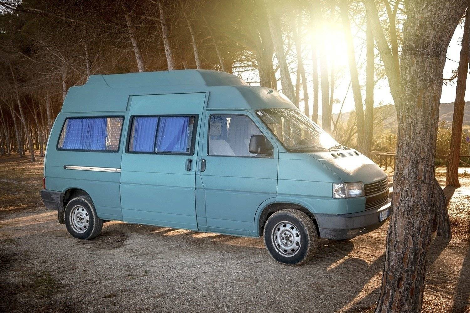 AMBUVAN T4 transporter