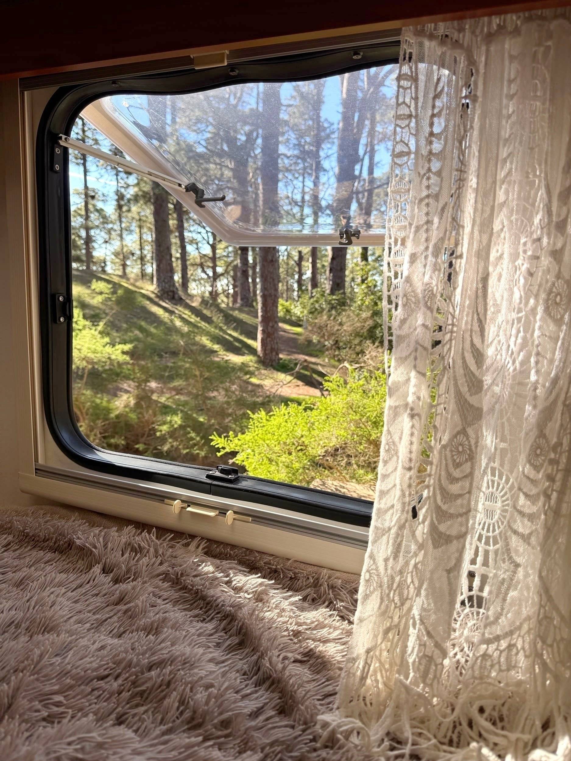 ford ford transit dinamic