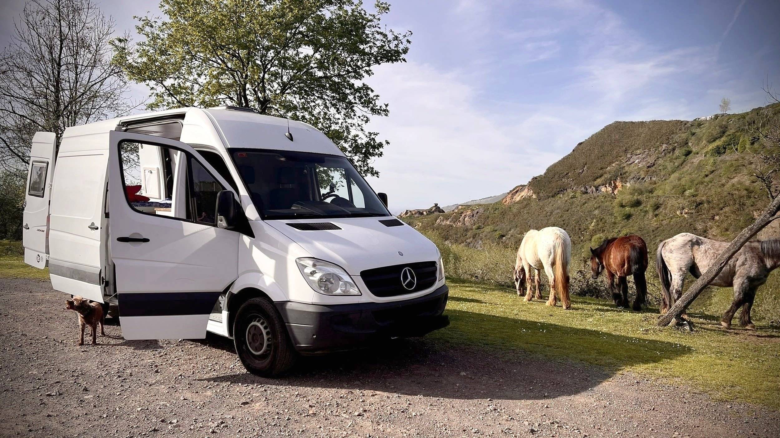 Mercedes Mercedes Sprinter 313 cdi