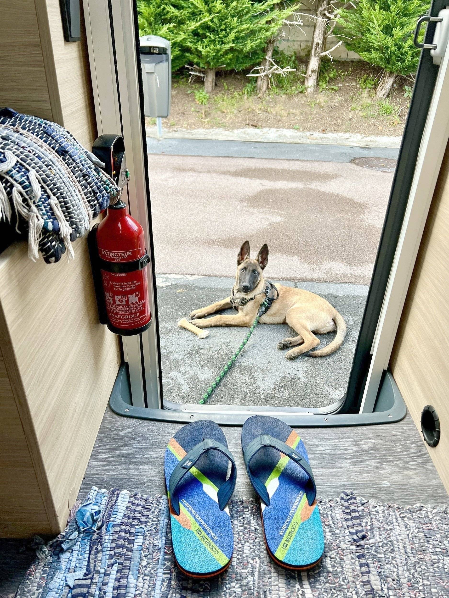 Challenger S217 Sport Edition