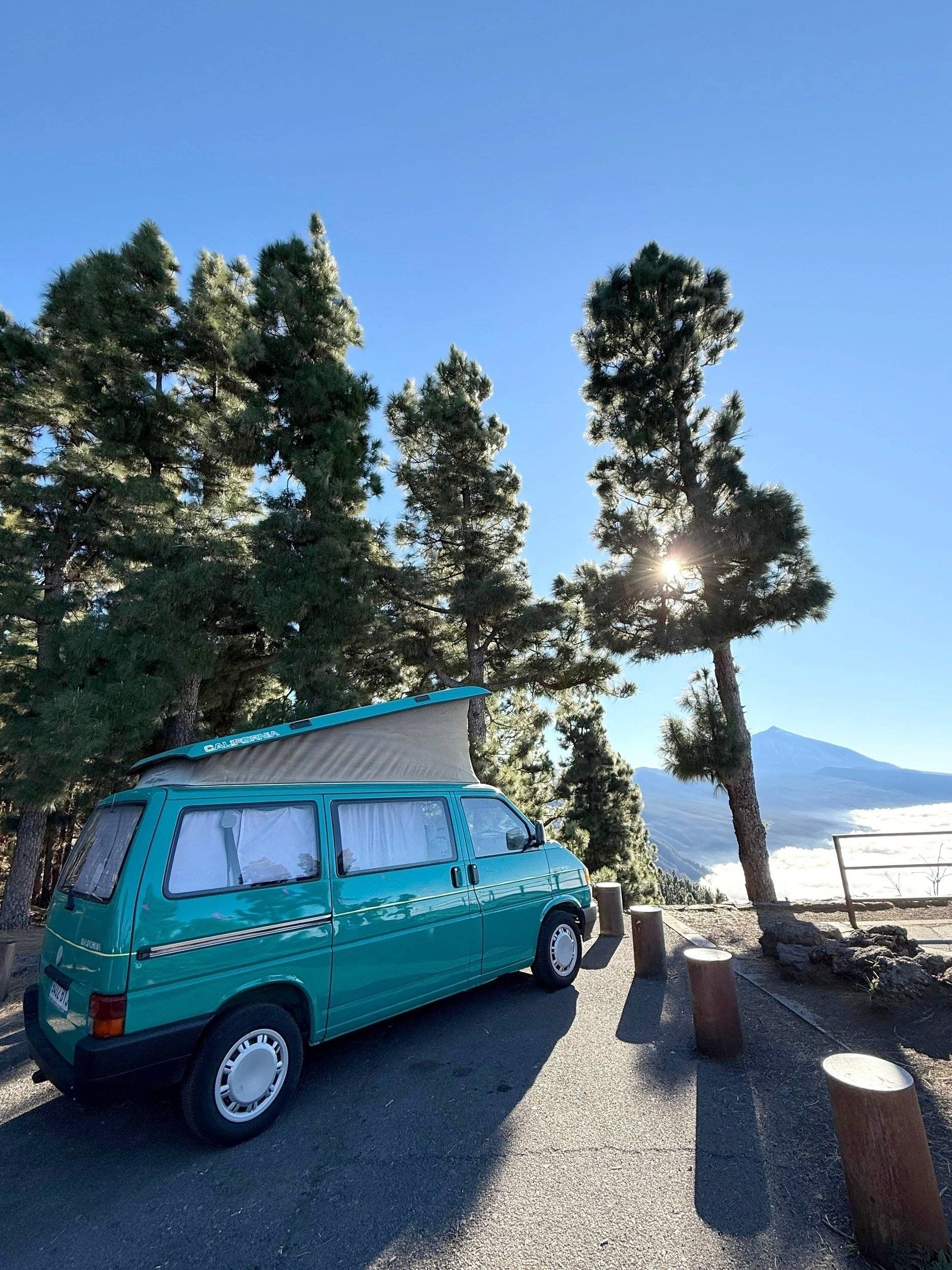 Volkswagen California t4 westfalia