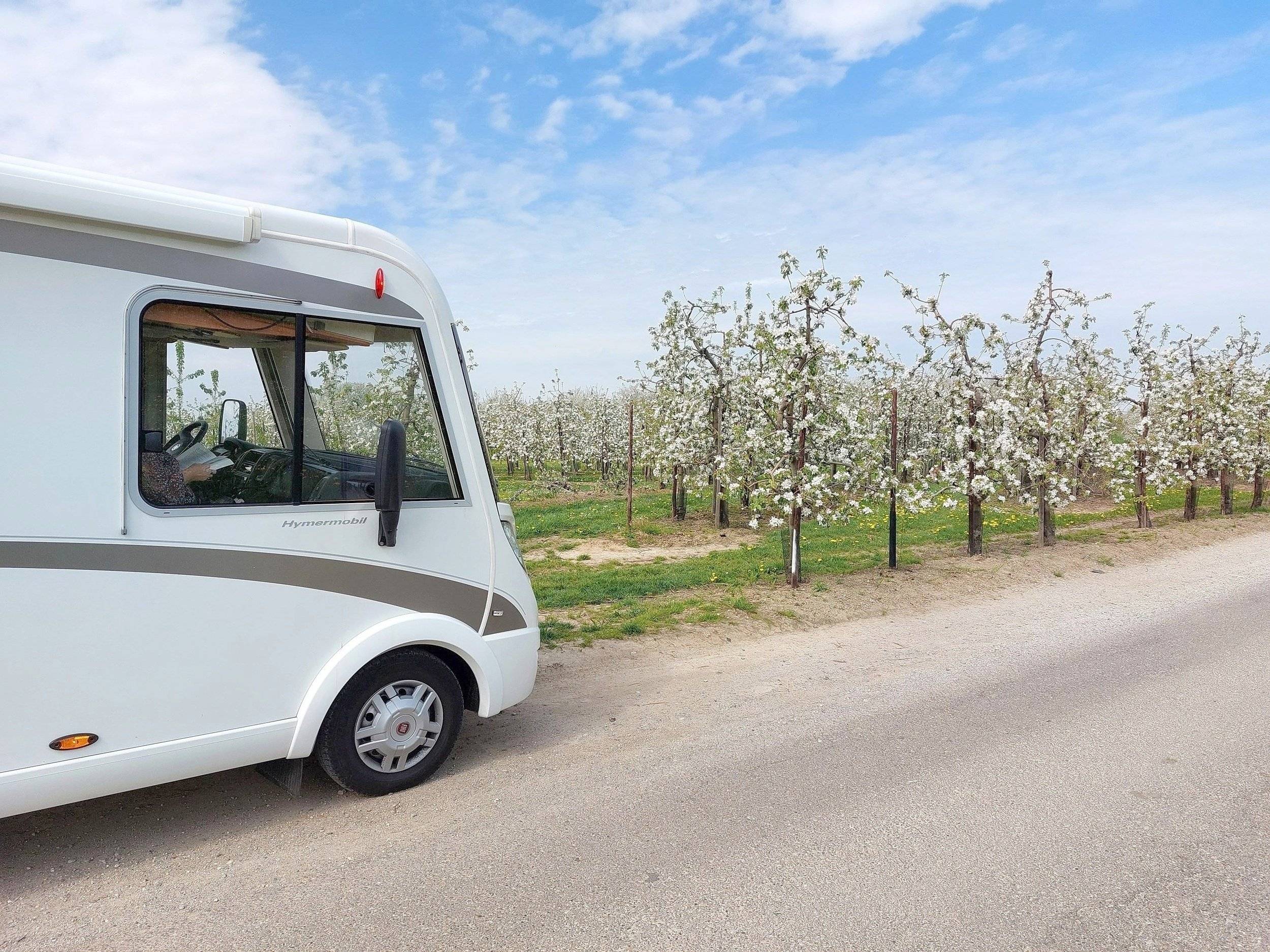 Hymer 