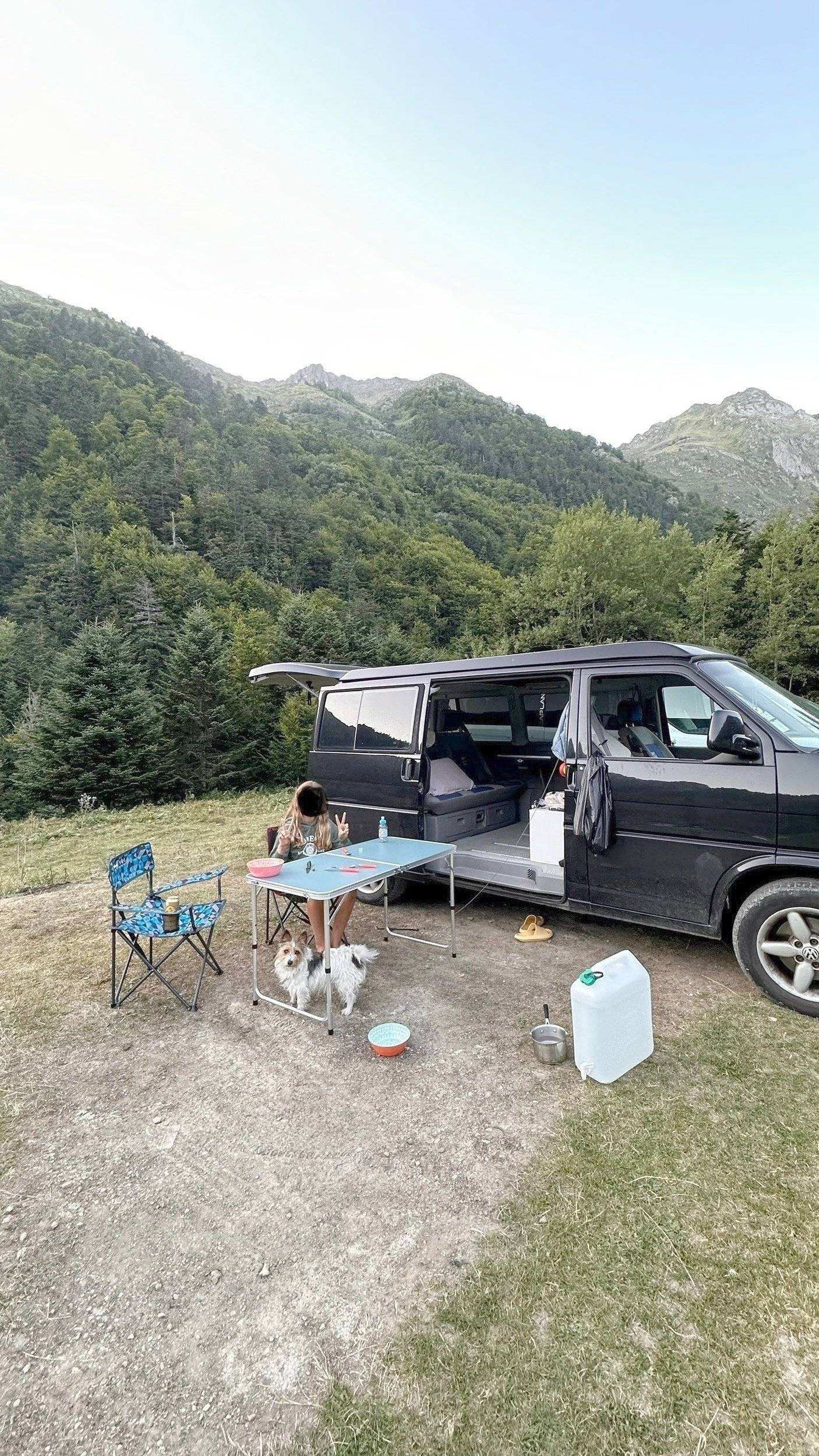 Volkswagen Transporter T4 Multivan