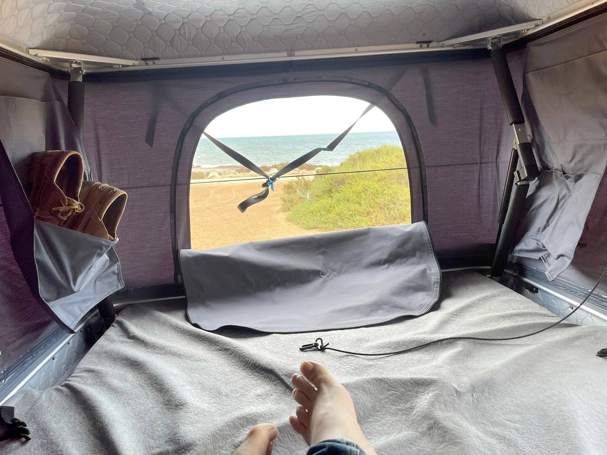 Ci 65 Special Edition