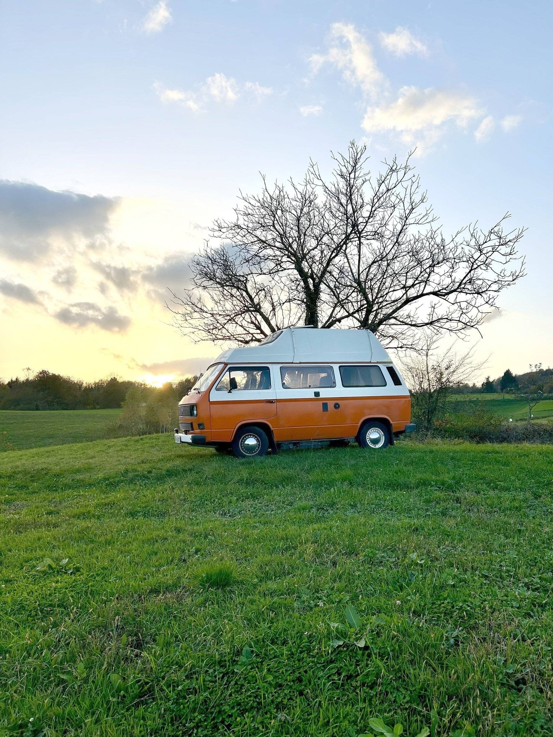 Westfalia T3 Westfalia