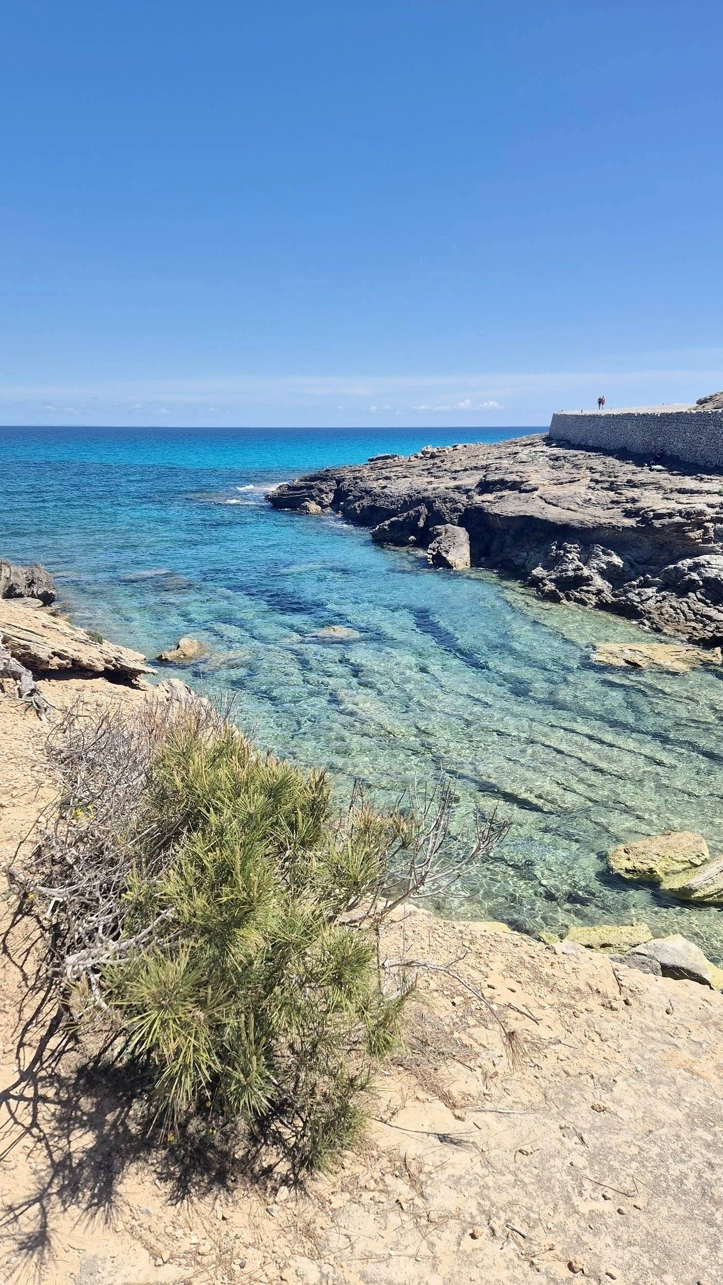 Bavaria Trigano FD1 /FOT3M335KPFD41ZO/Genesis