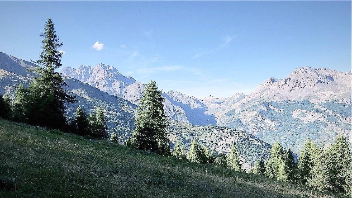 Volkswagen T5 2,5 l 102 ch