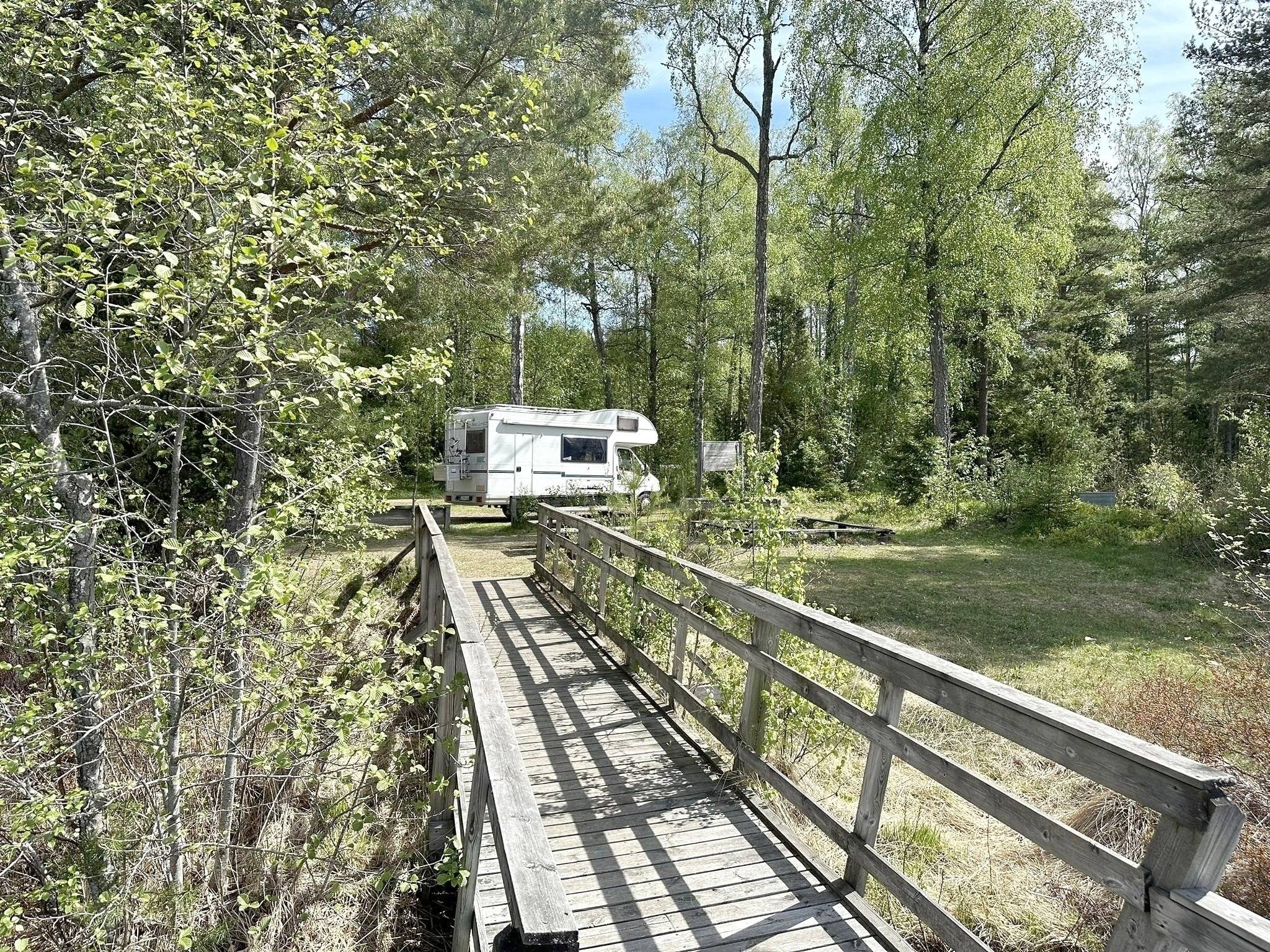 Ahorn Ahorn Camp 595