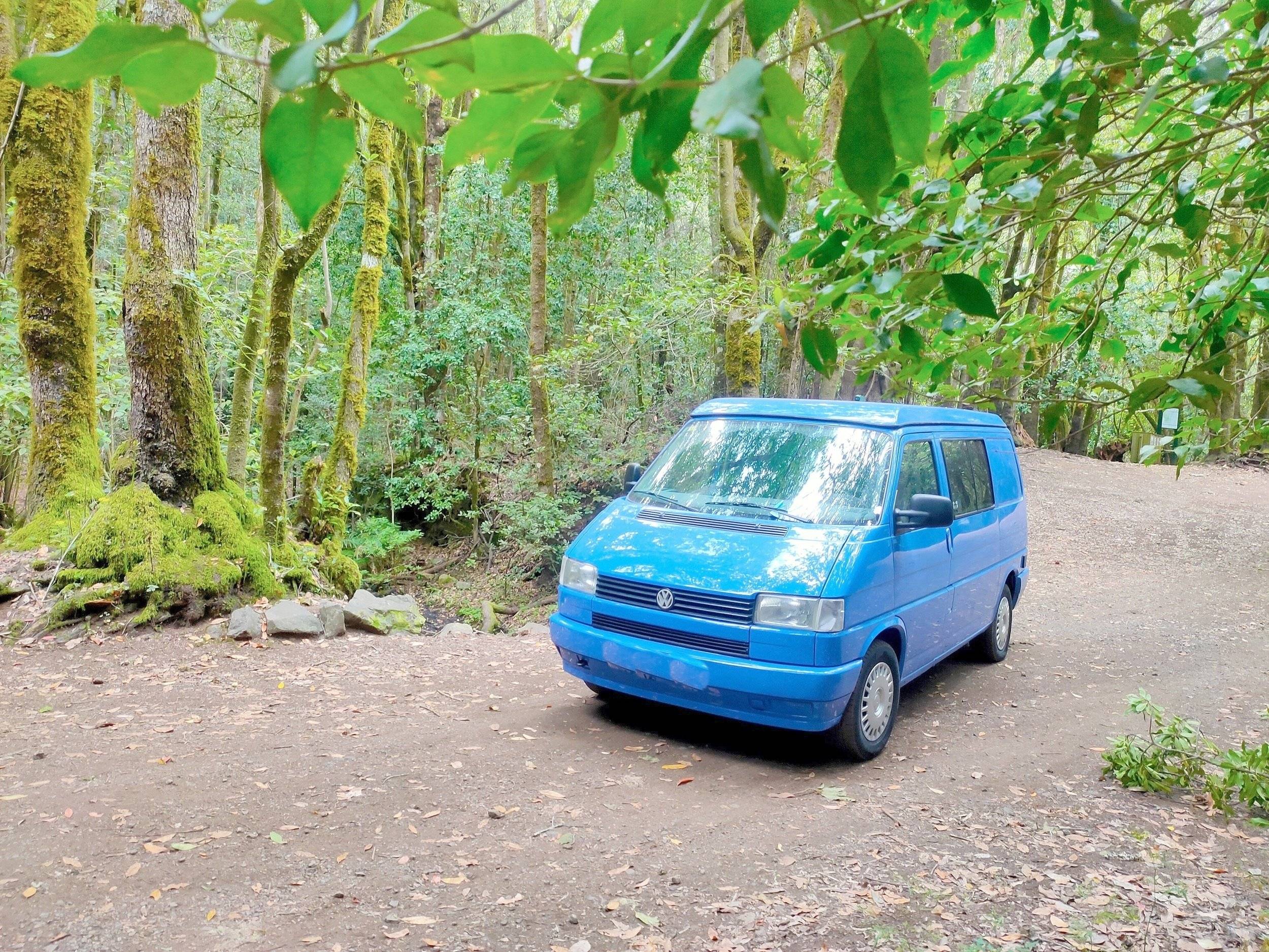 Westfalia California t4 westfalia
