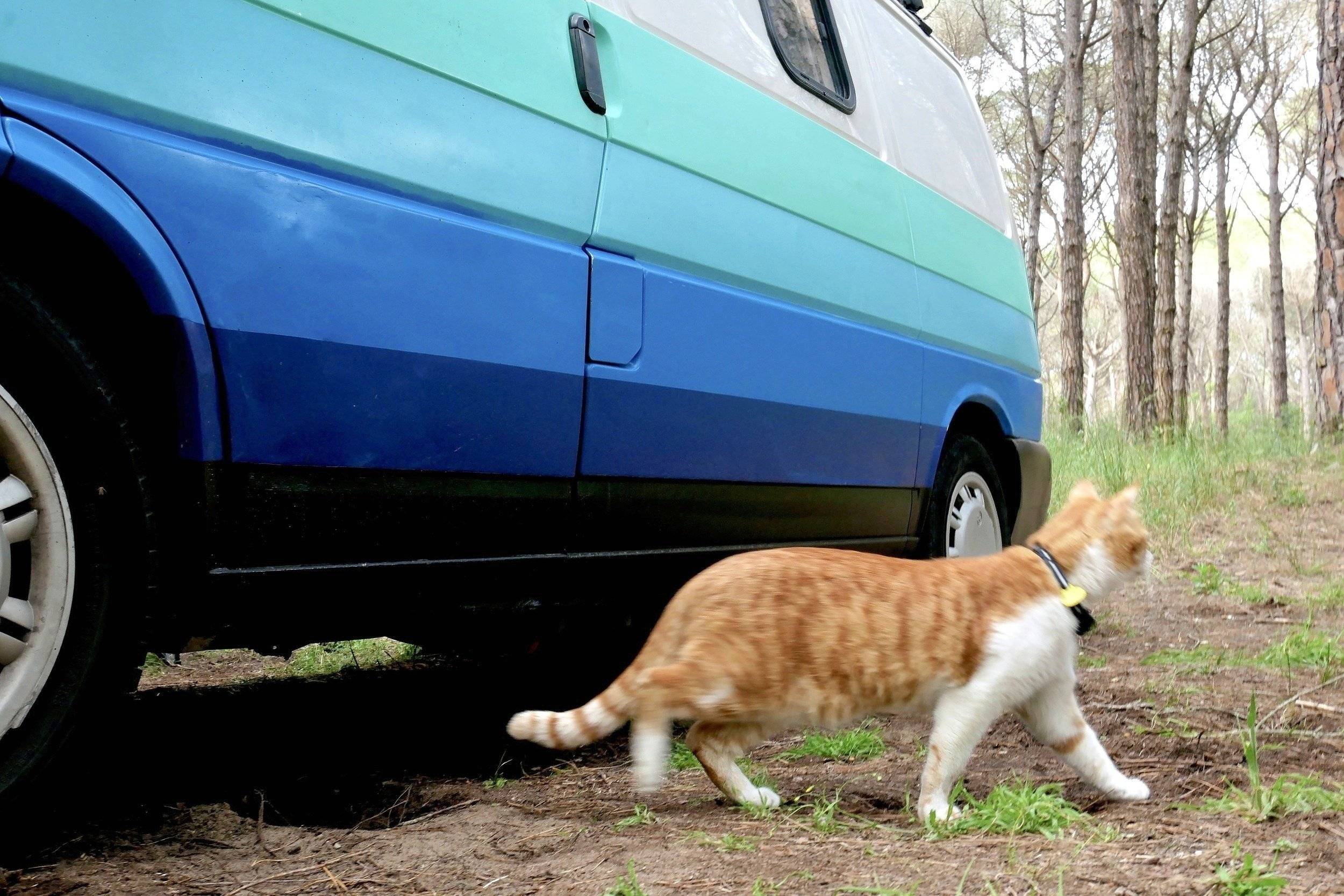 Volkswagen Transporter T4