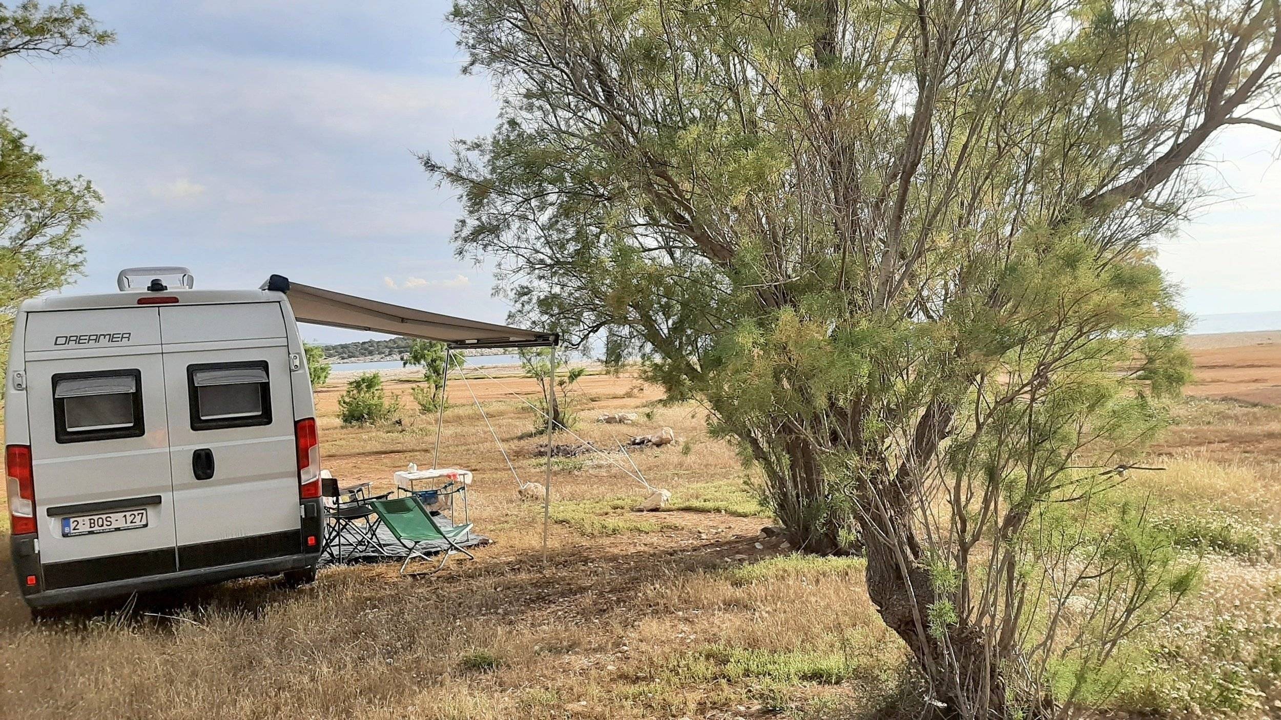 Dreamer D55 exclusive