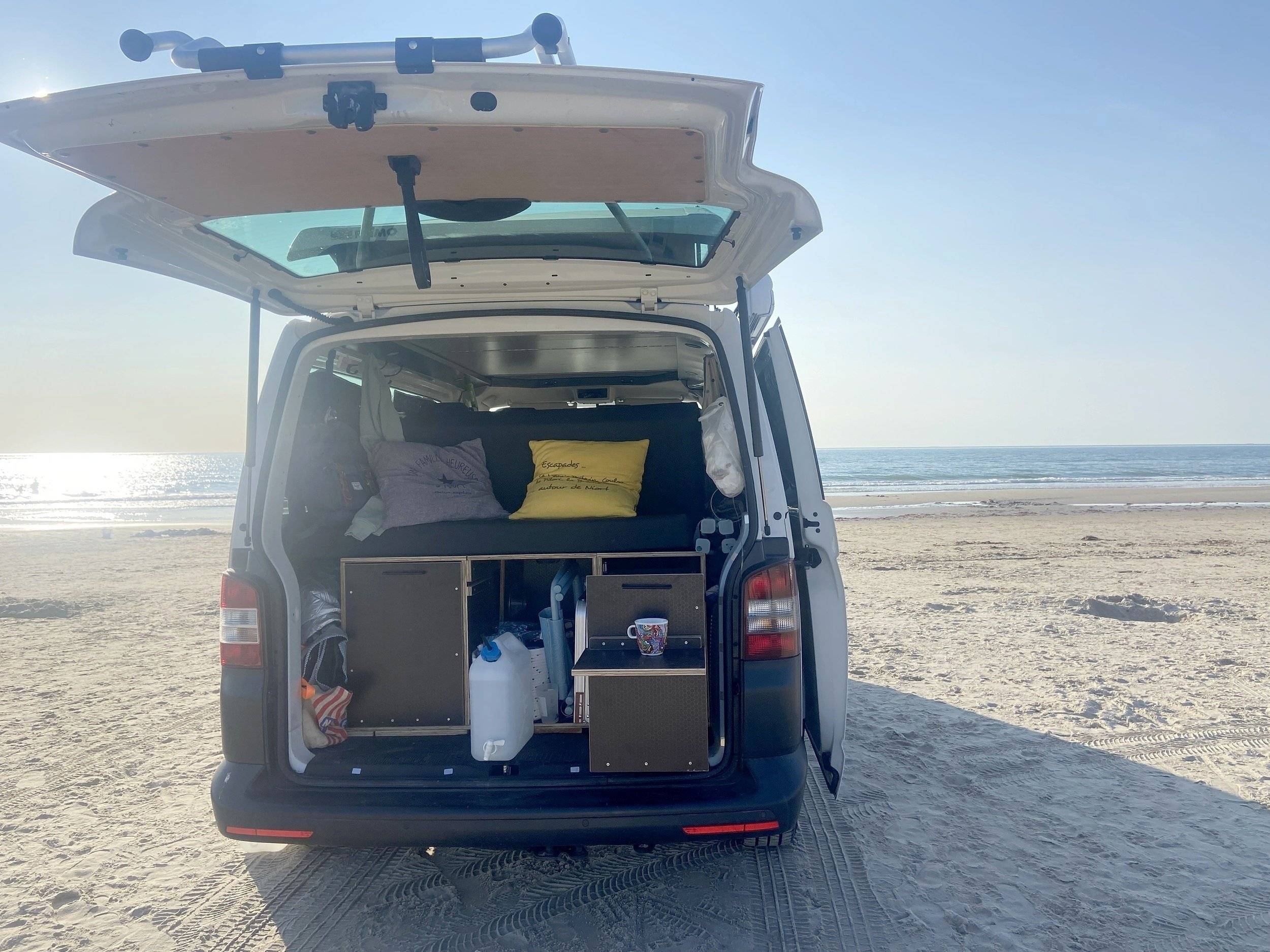 Van Mania 