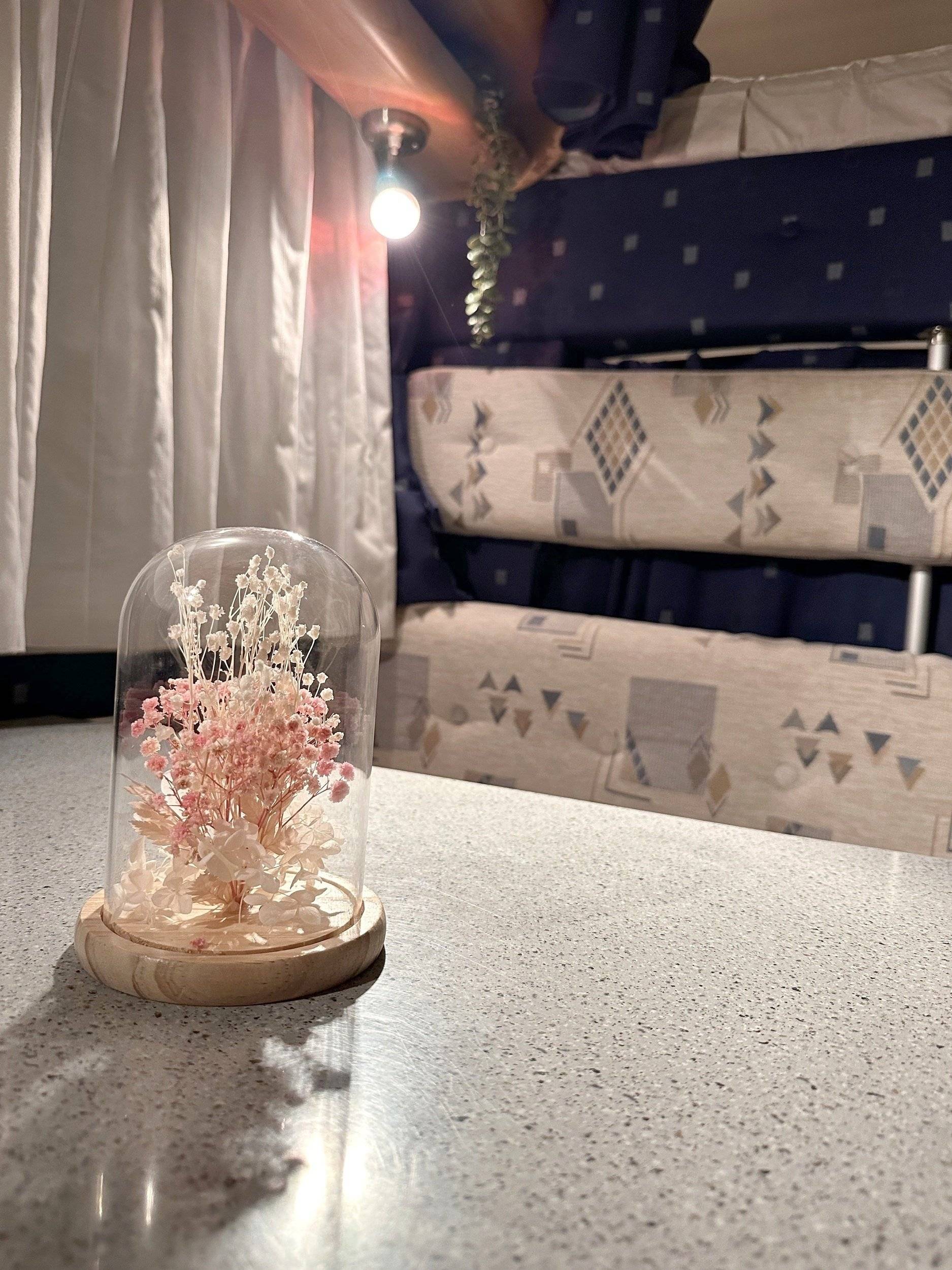 Mclouis McLouis Tandy