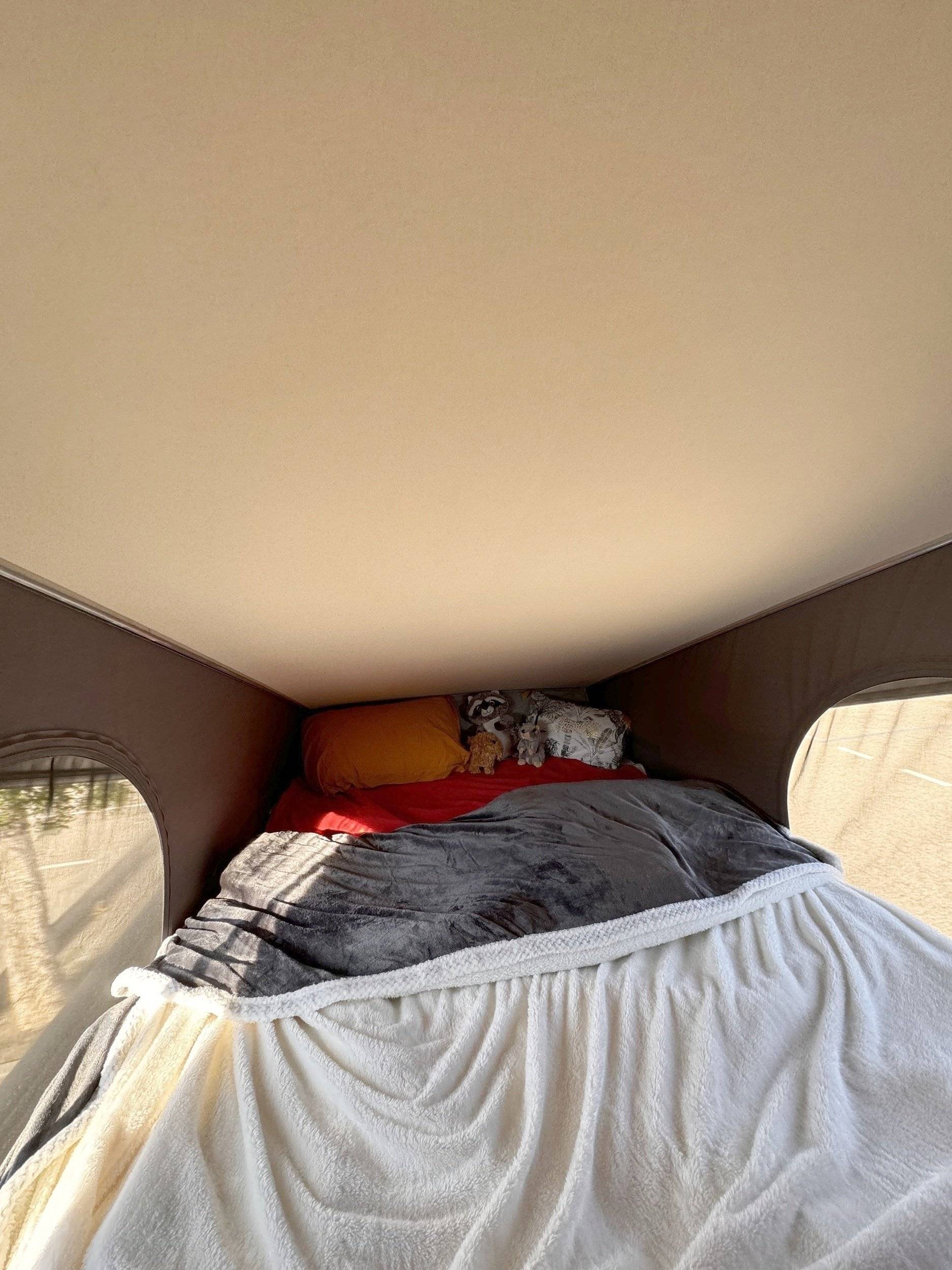 Dreamer dreamer d 55up