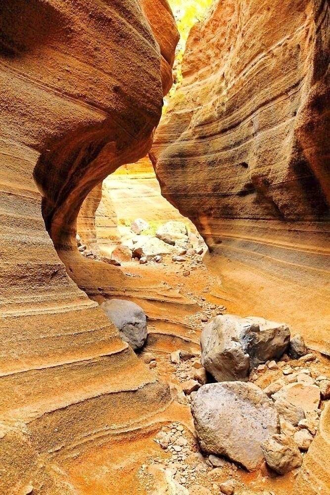 P.L.A. Citroën jumper