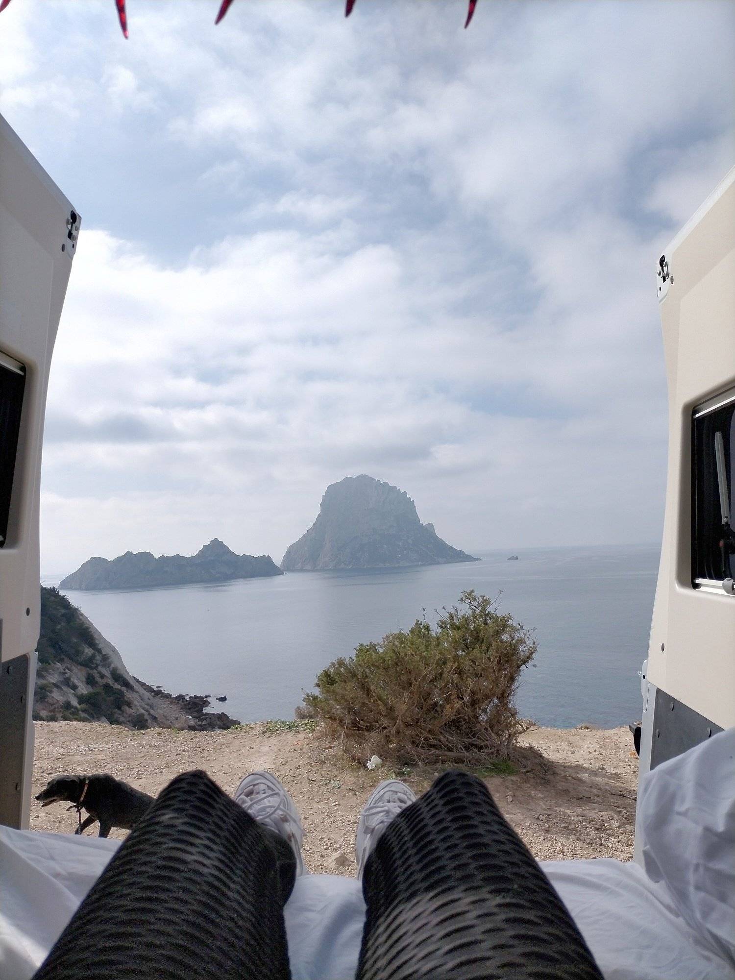 Roller Team Livingstone 5