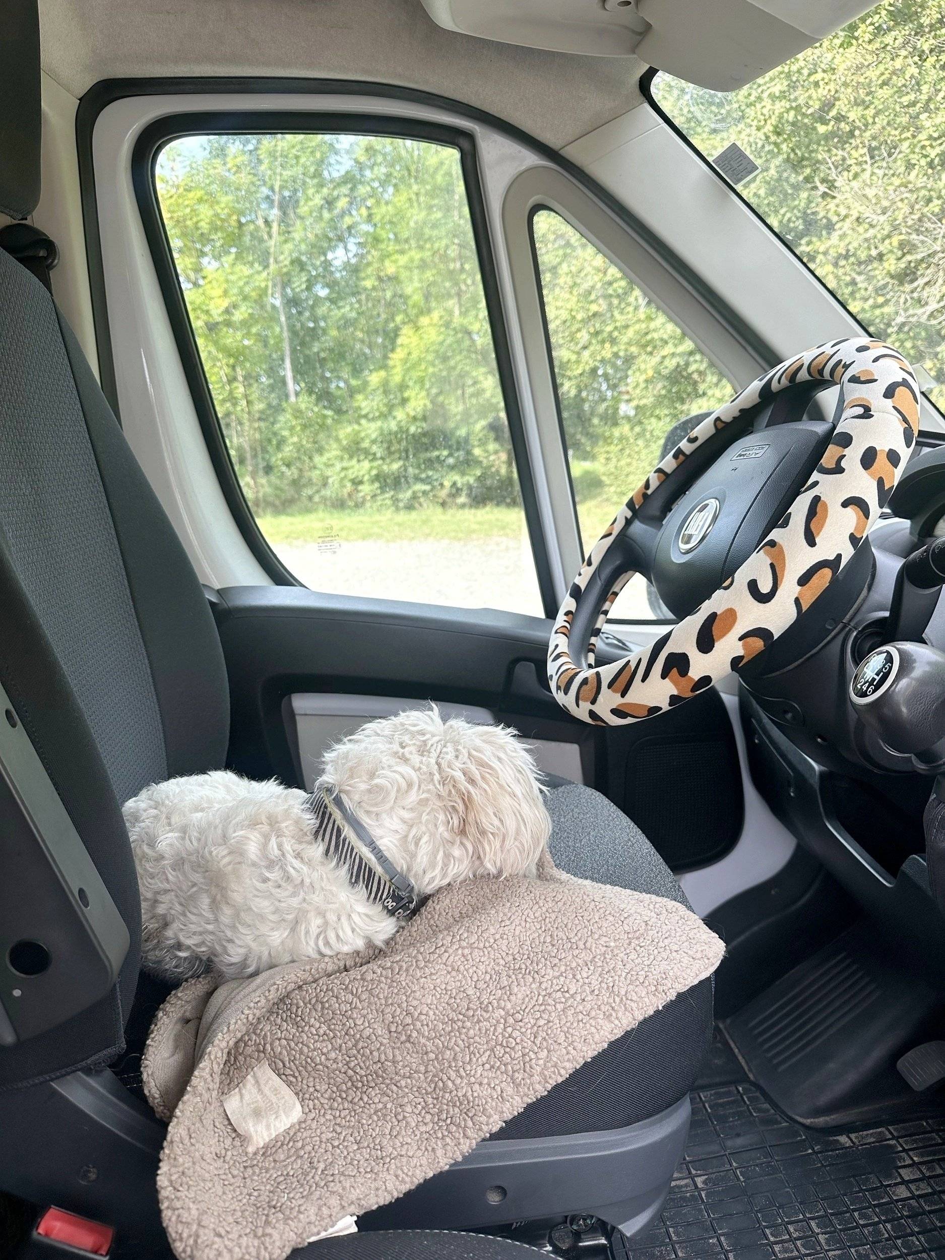 FIAT Fiat Multijet 2   2,3 L   150 CV