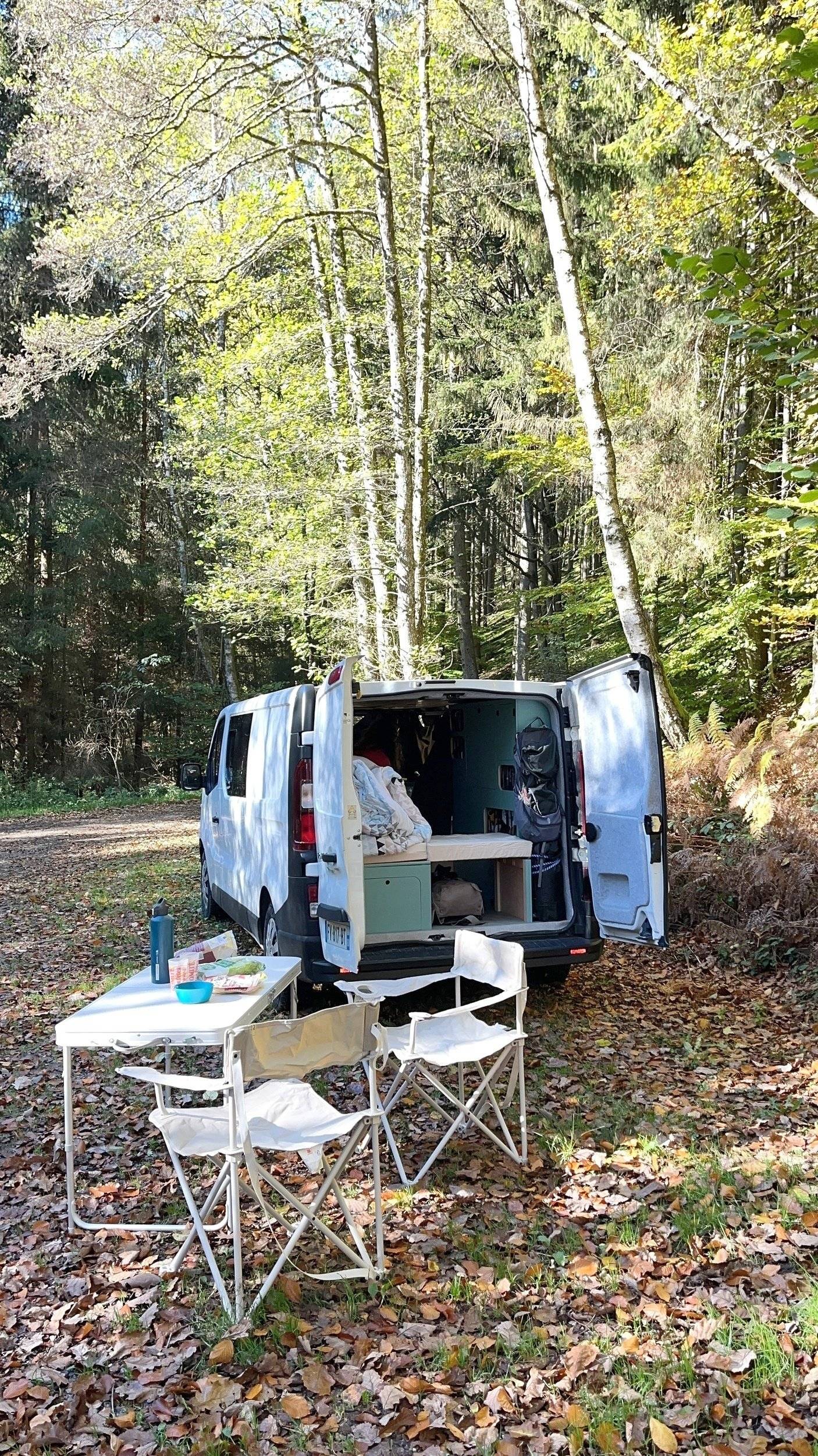 Make My Van Renault Trafic