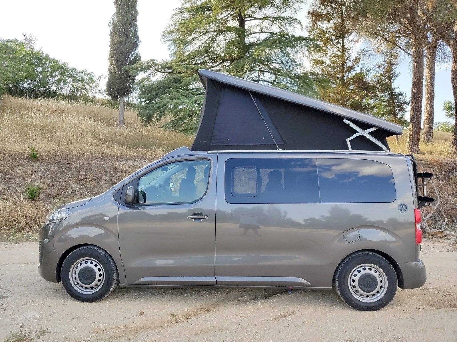 CITROEN PACIFIC/BRAHM TECNOLOGIES