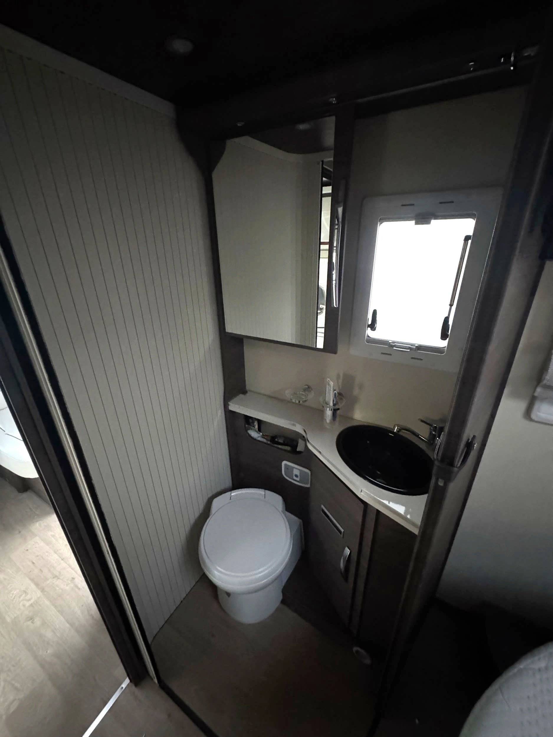 Mclouis 90 G YEARLING