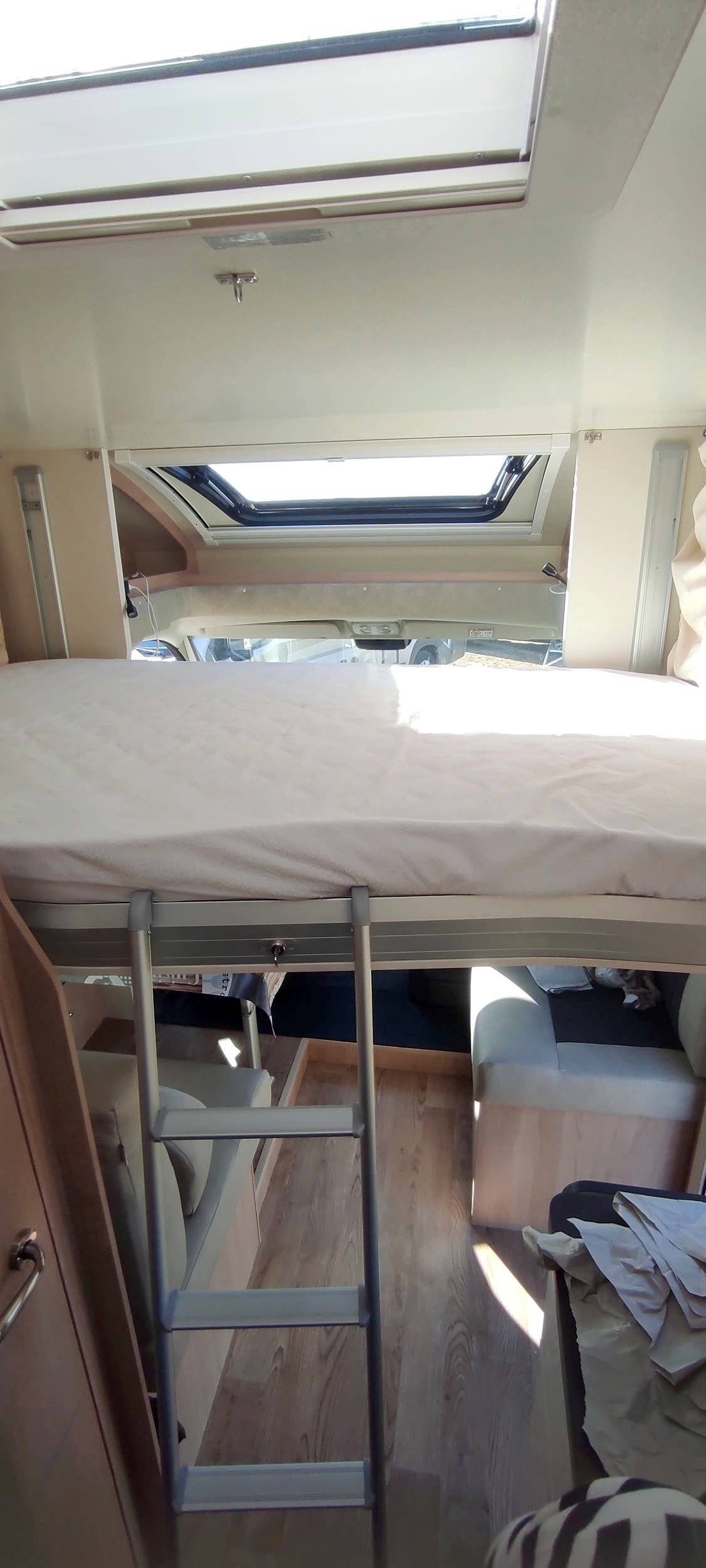 Giottiline Siena 385/1 Privilege