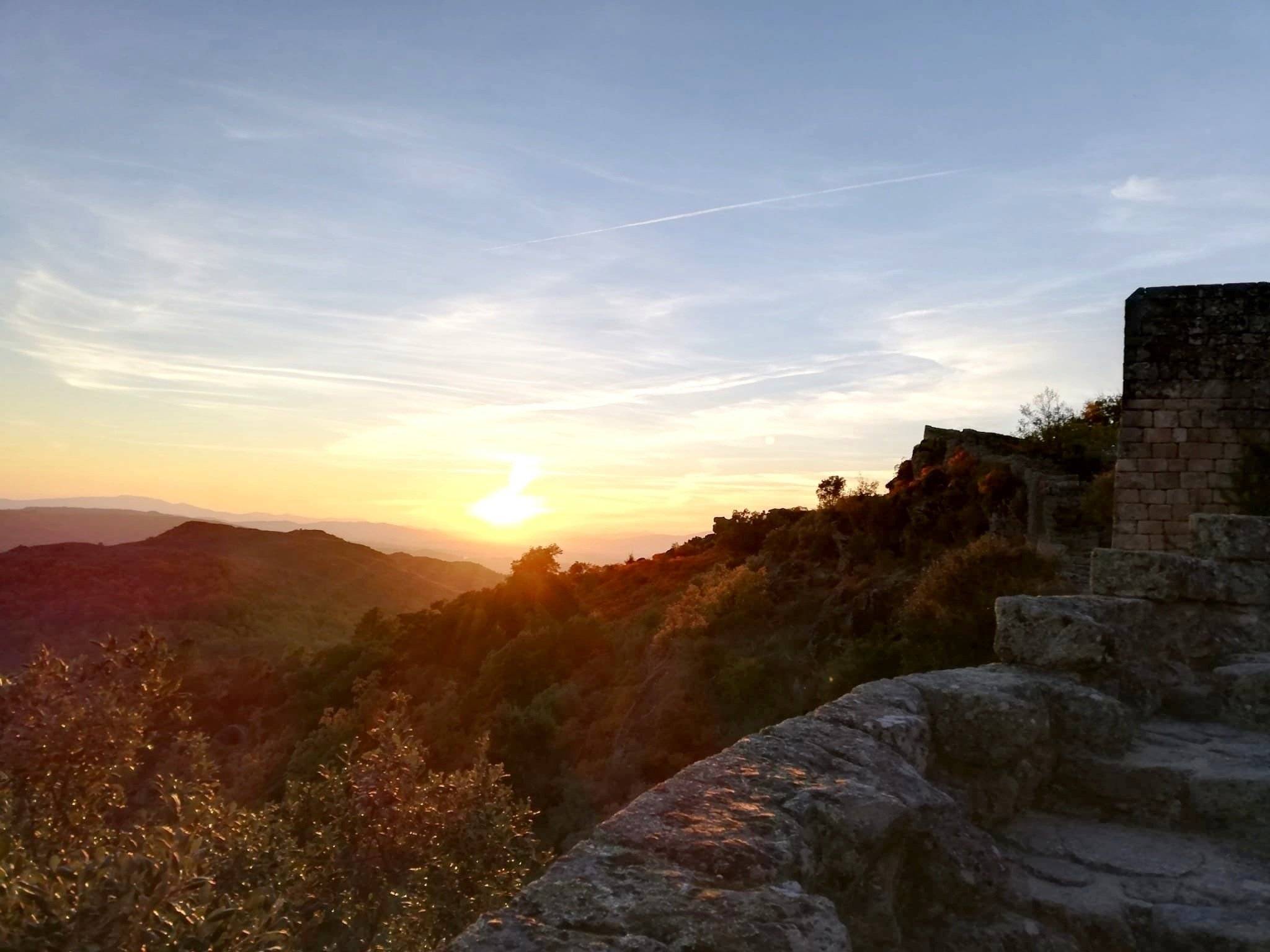 Pilote P706 C Essentiel