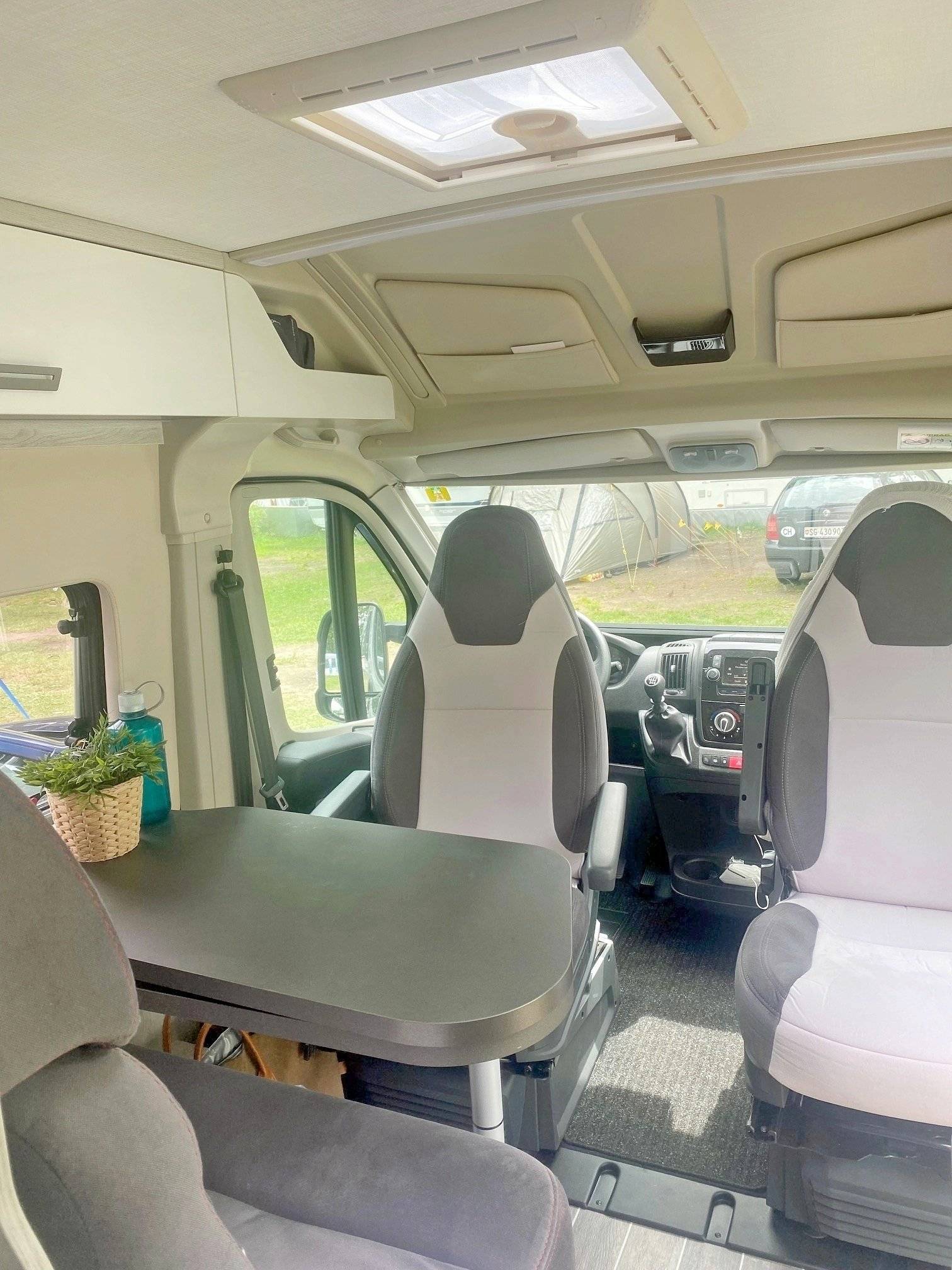 Roller Team Livingstone DUO XL Sport