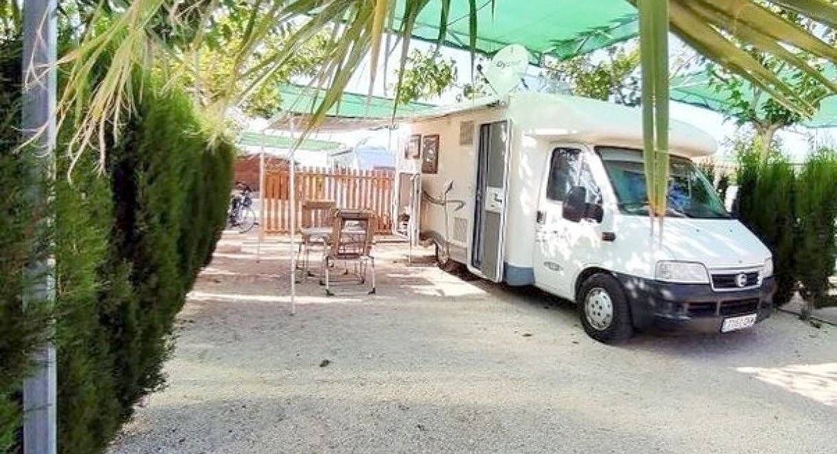 Mclouis Tandy plus 620