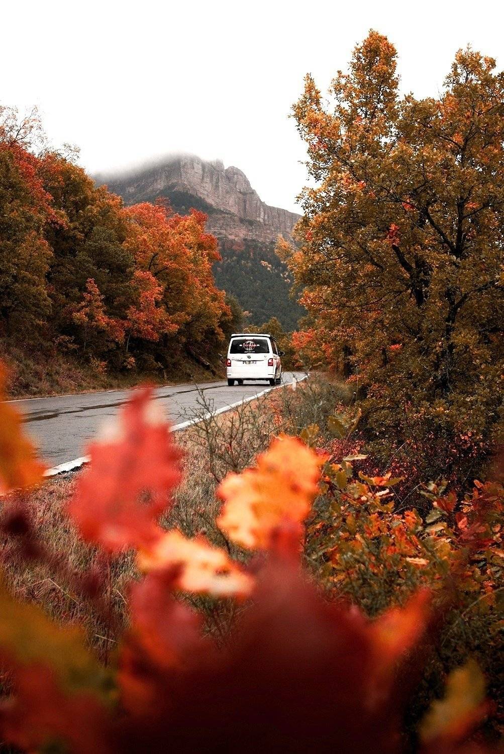 Westfalia Kepler One