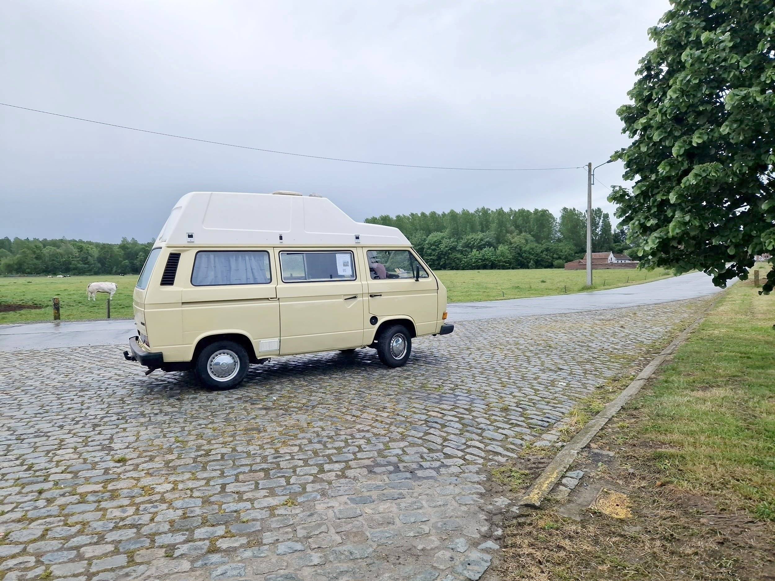 Westfalia Club Joker