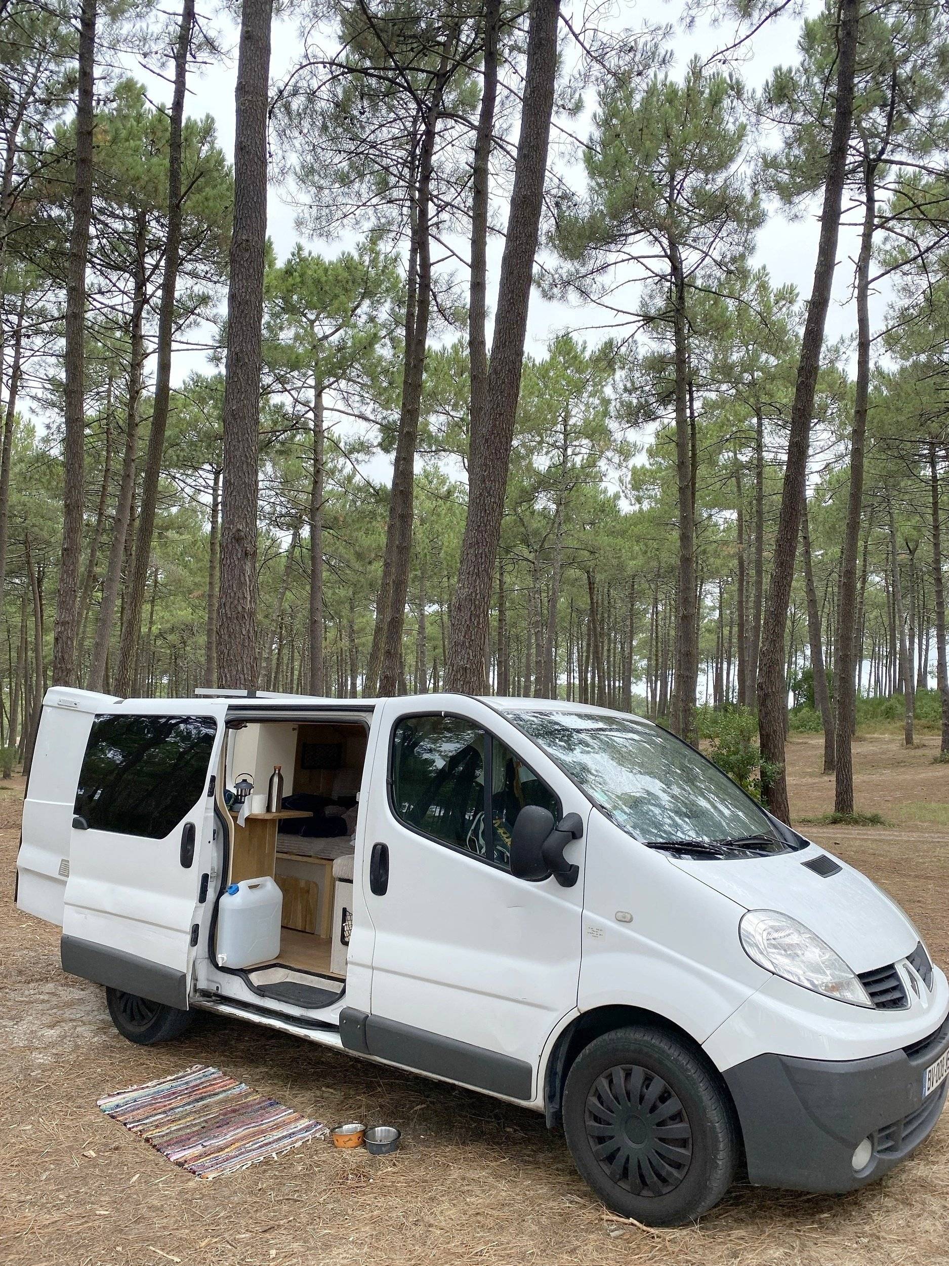 Renault TRAFFIC 2,0l 90 CH