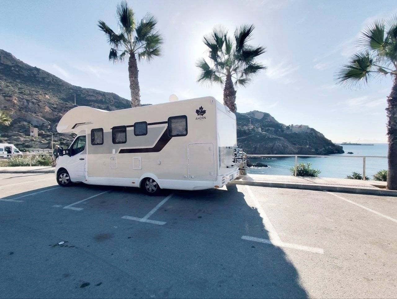 Ahorn Ahorn Canada AE