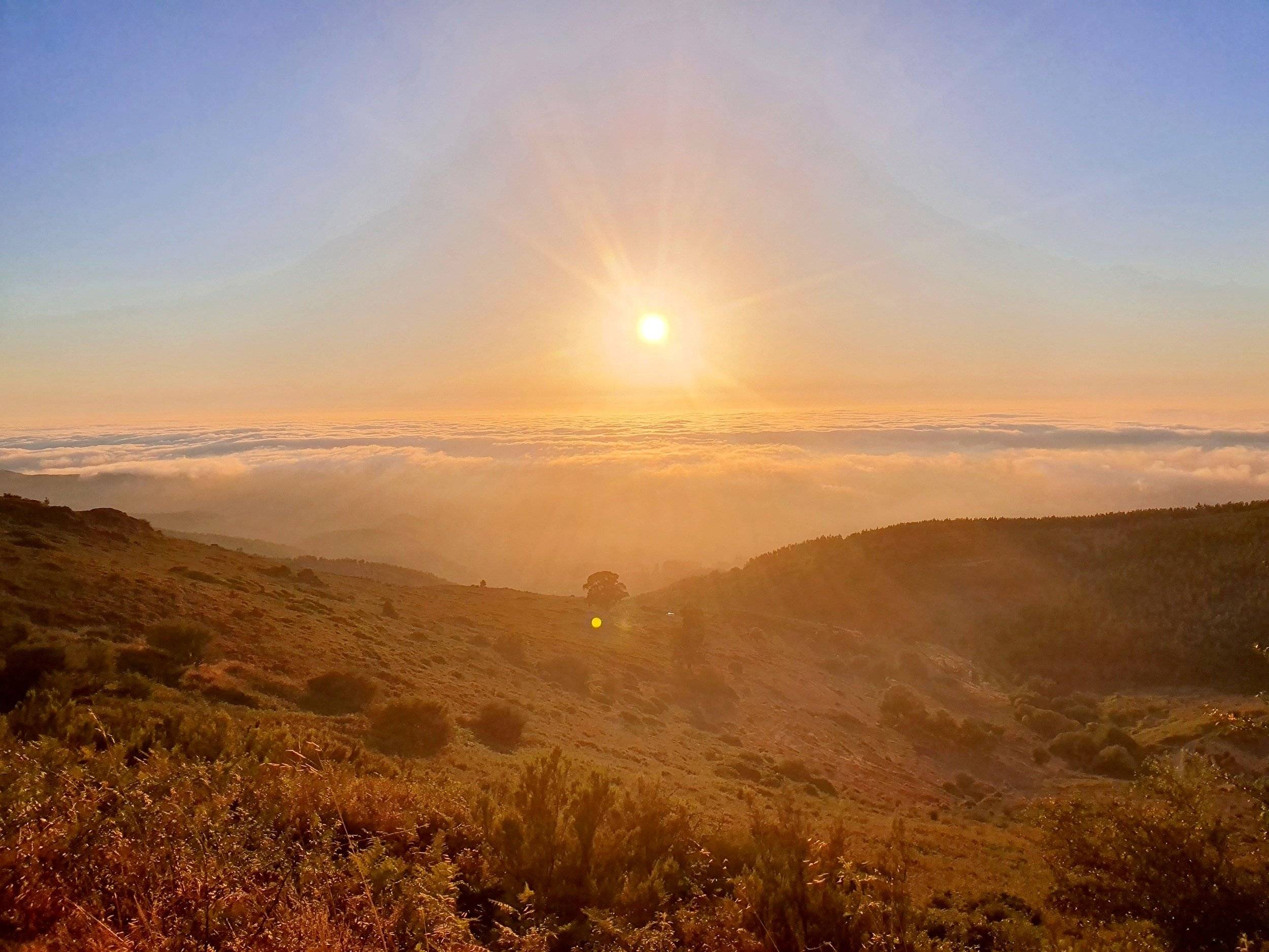 4X4 SUZUKI  suzuki Jimny