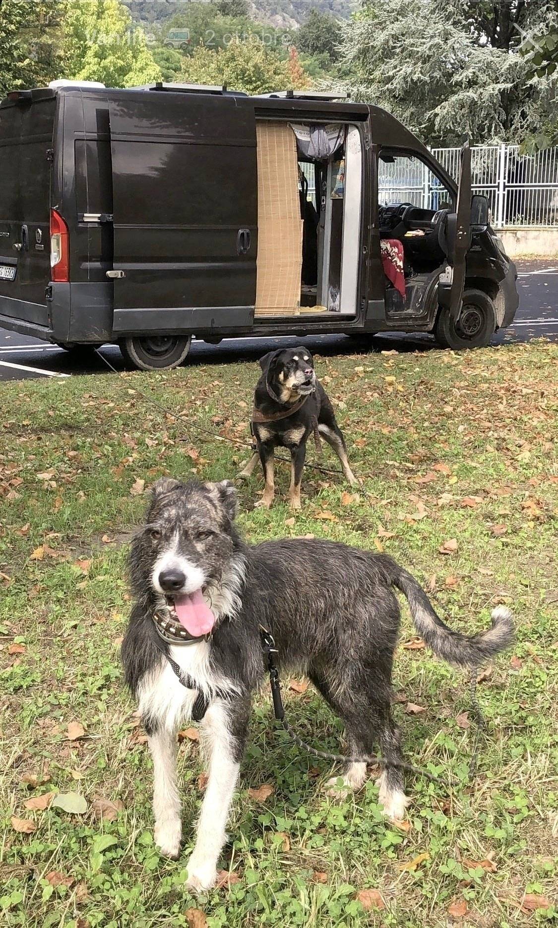 Fiat Ducato 2,3 l Multijet 130 ch.