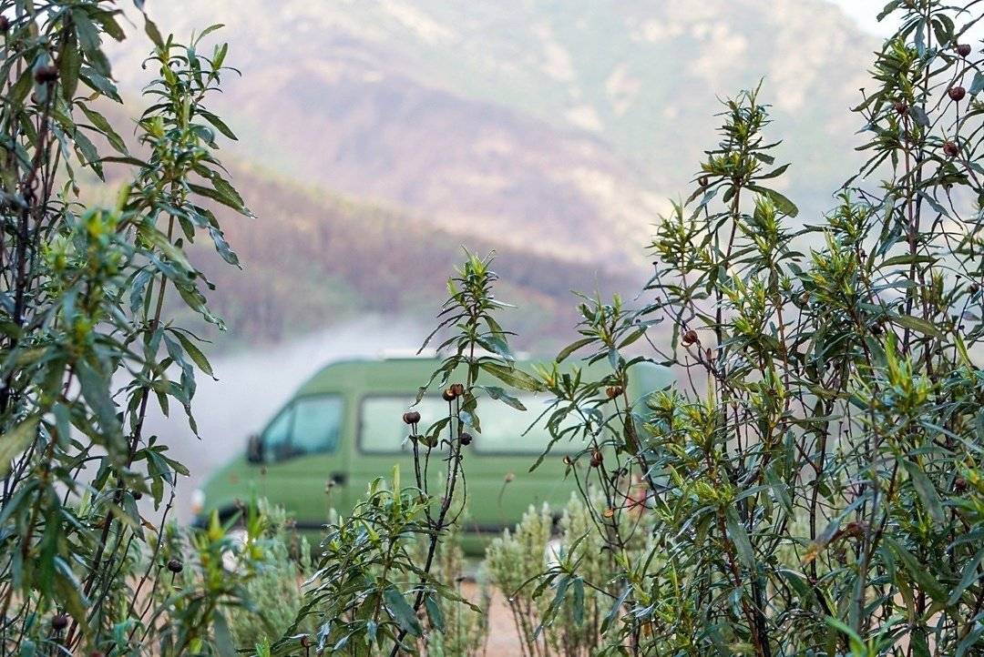 Renault Master 2,5 l dCi 120 ch.