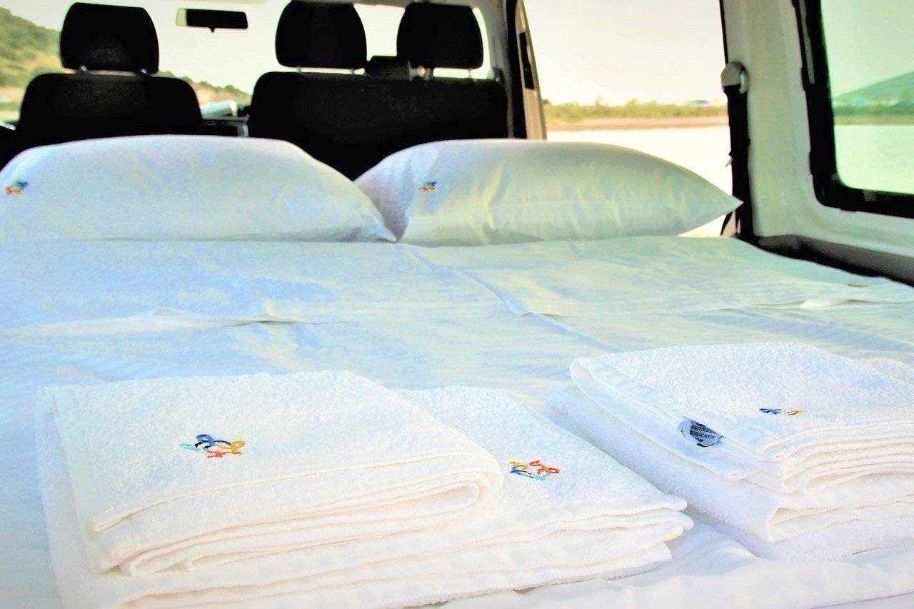 Volkswagen T6 with Raising Roof