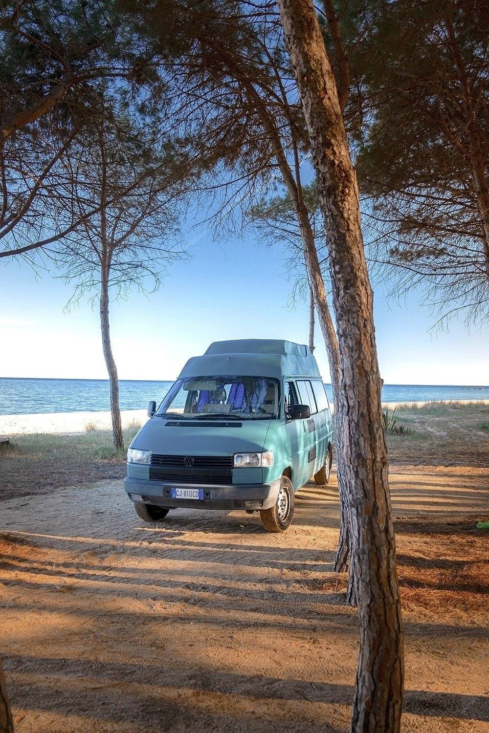 AMBUVAN T4 transporter