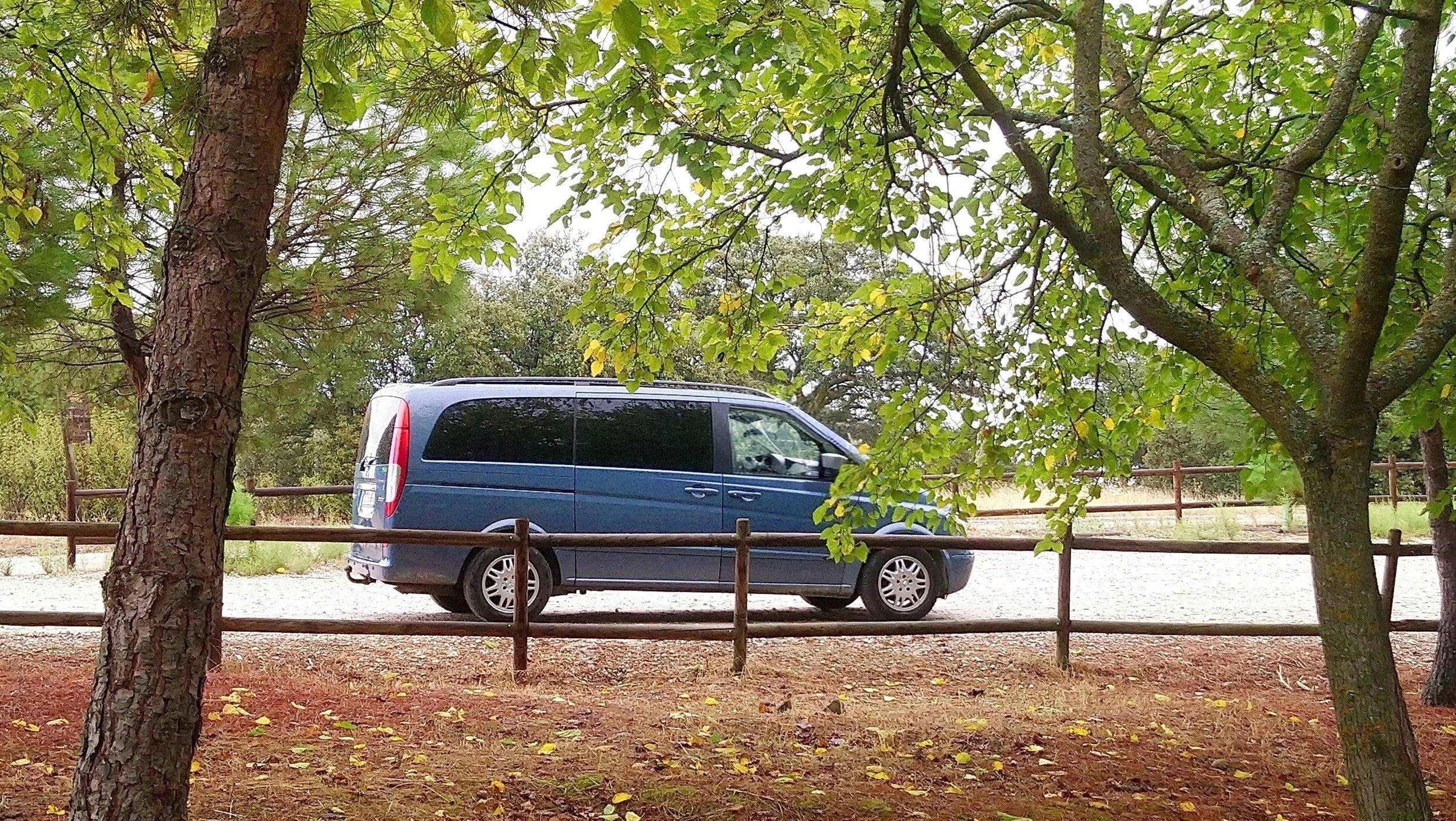 Mercedes Viano
