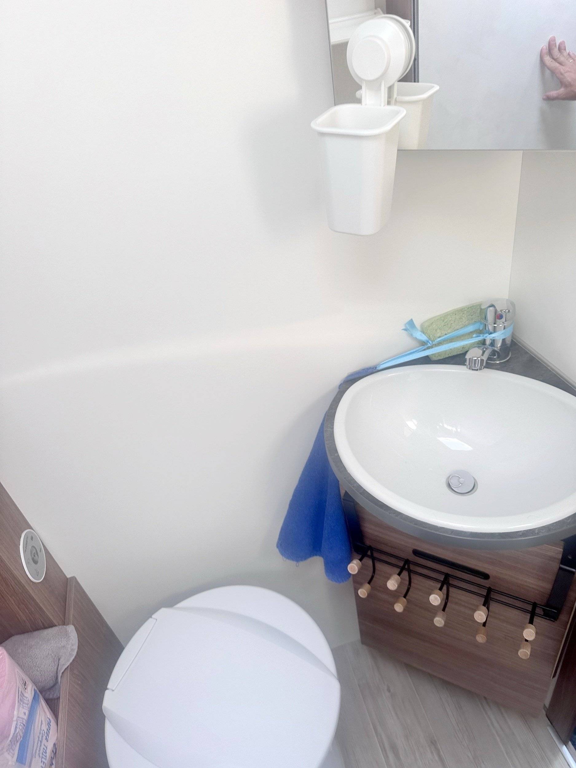 3 C Cartier/Brisebras Atalante