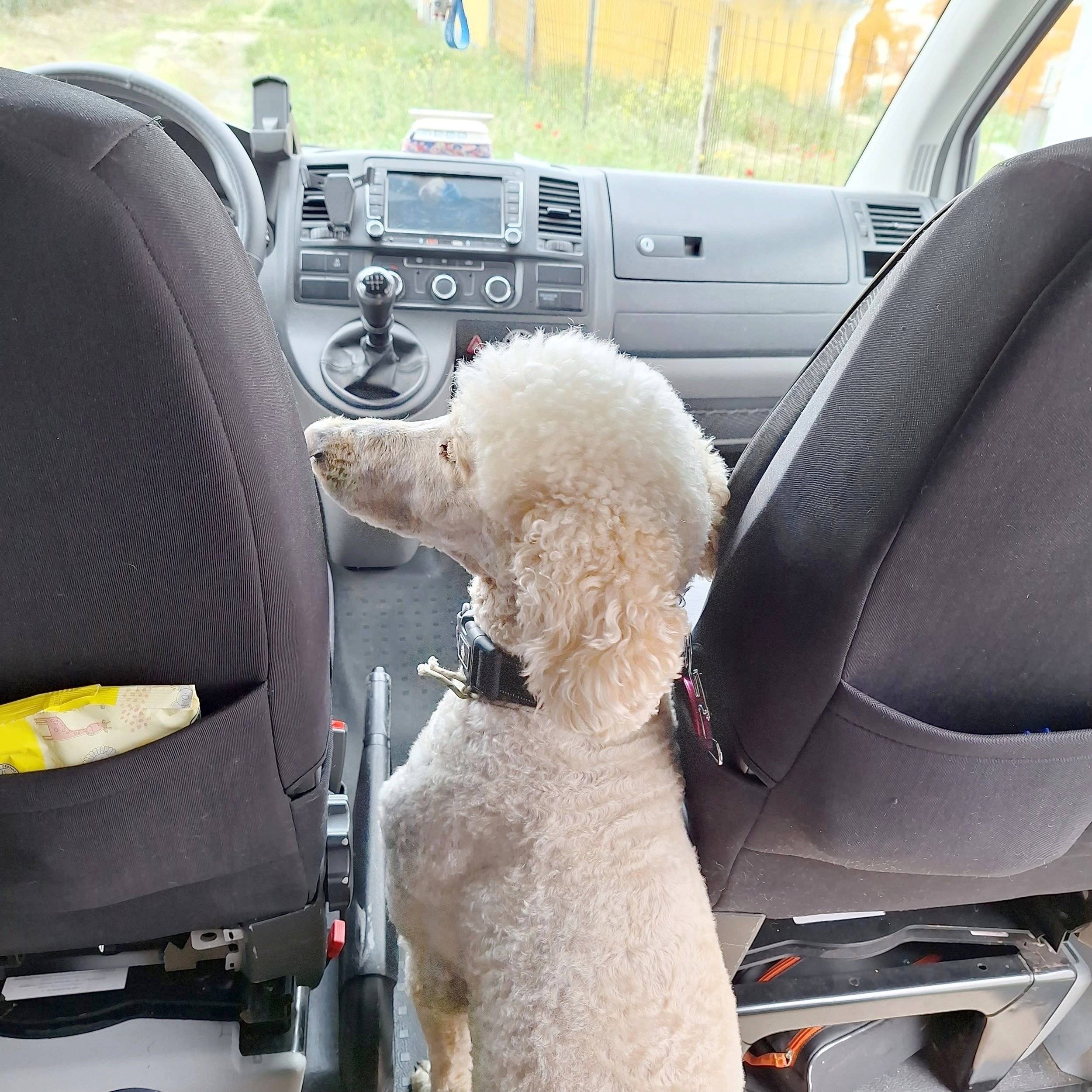 Volkswagen T5 2 l 84 ch