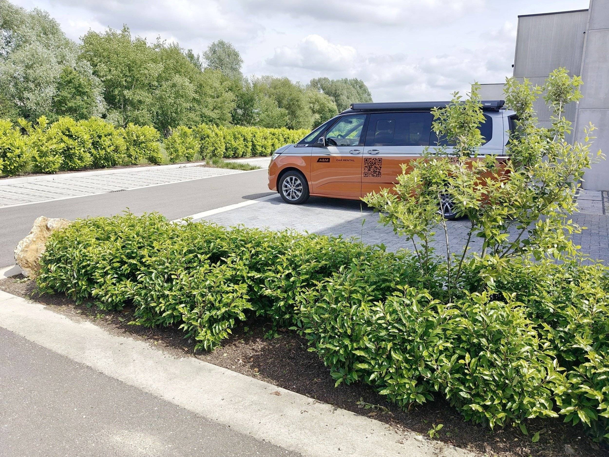 Volkswagen 