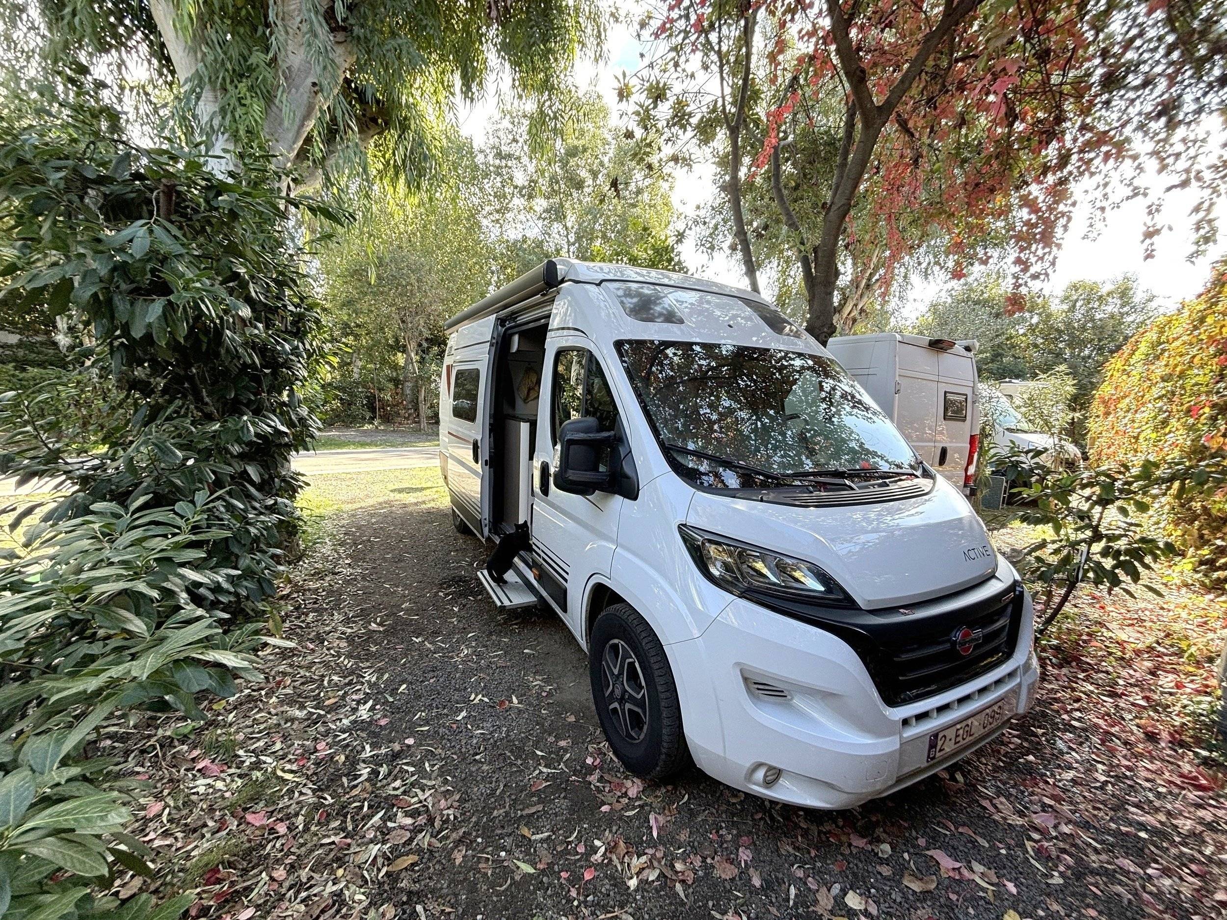 Bürstner ELISEO C642