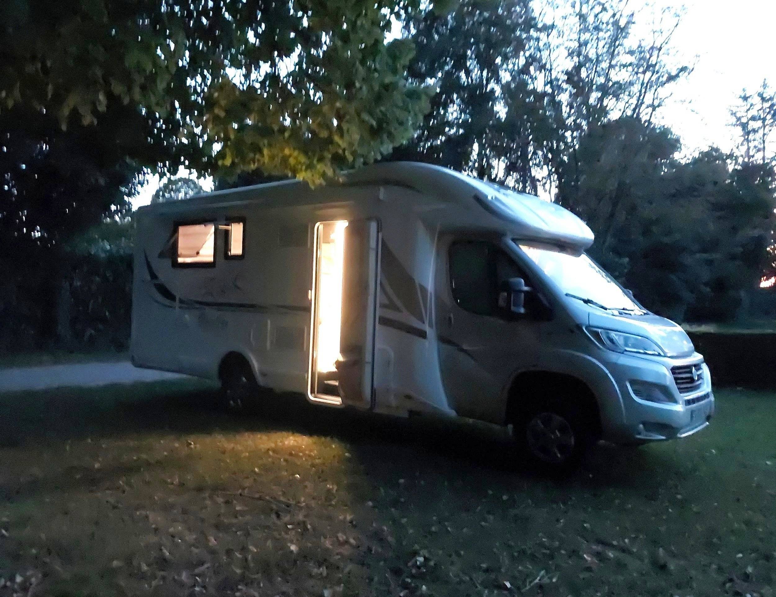 Mclouis Yearling 89G