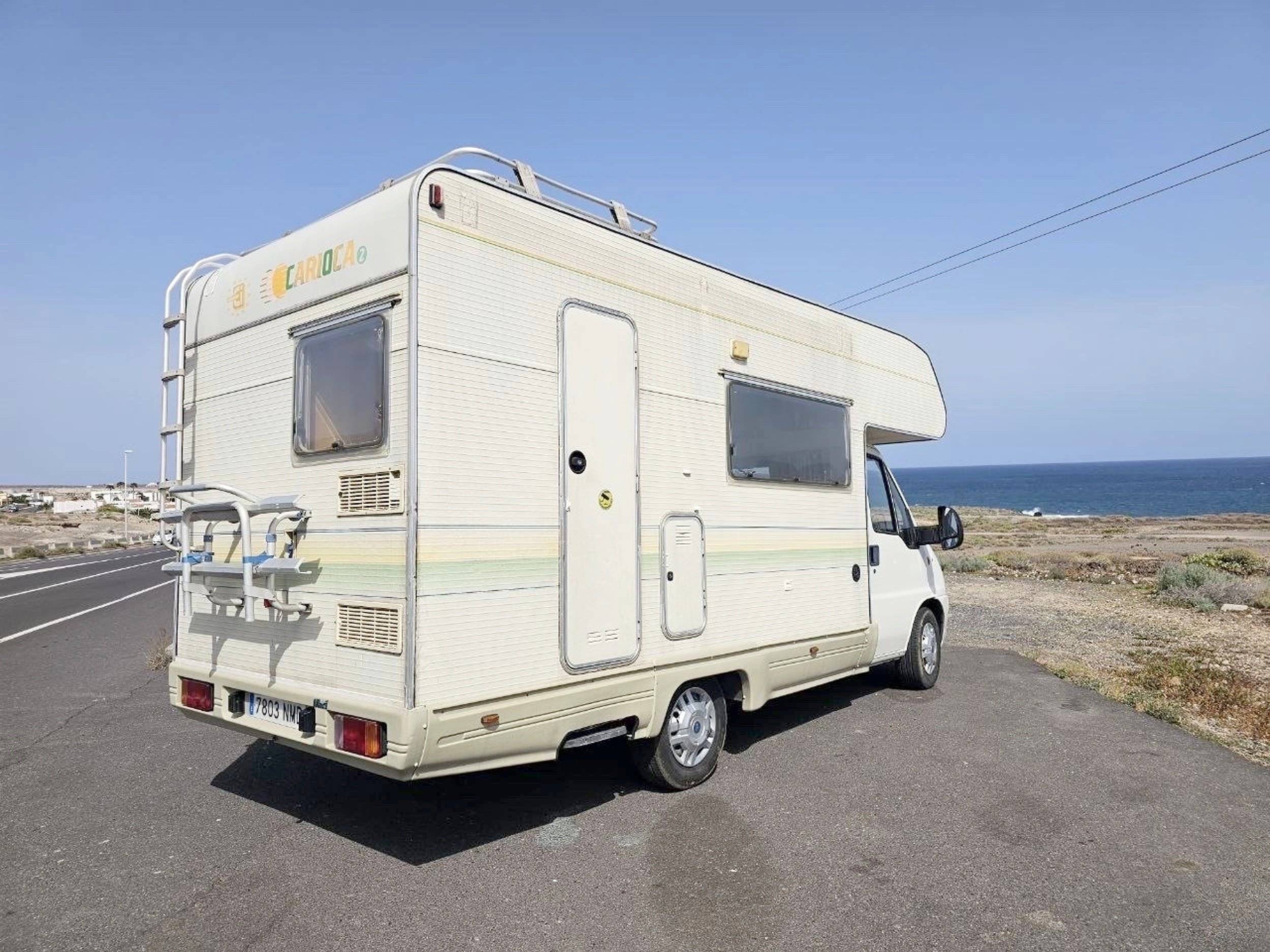 Adria Adria coral   sp660
