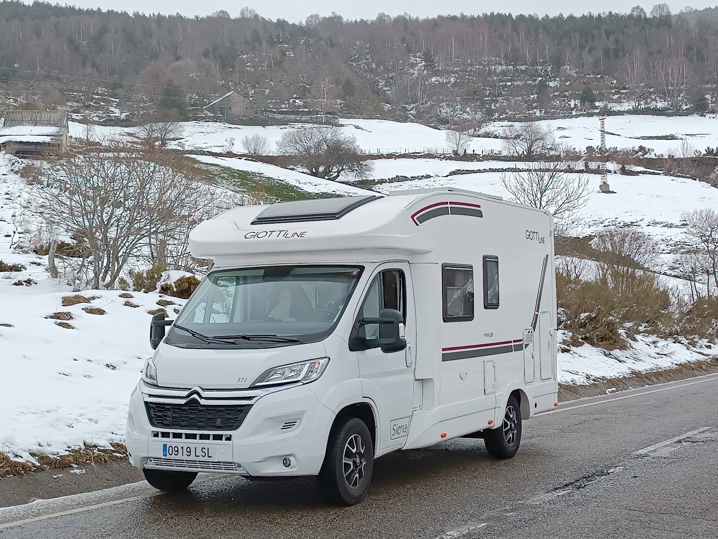 Giottiline Giottiline 322