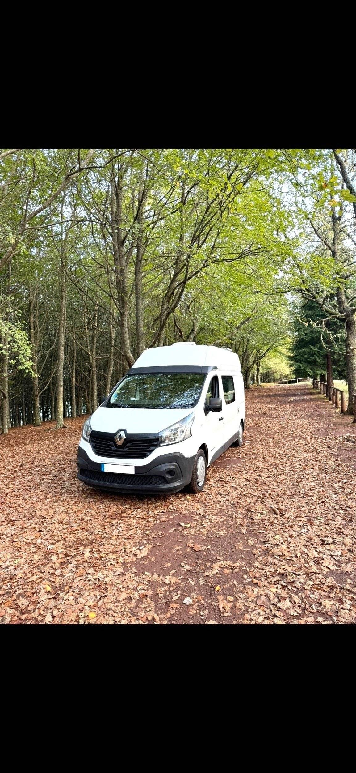 Renault Renault trafic 