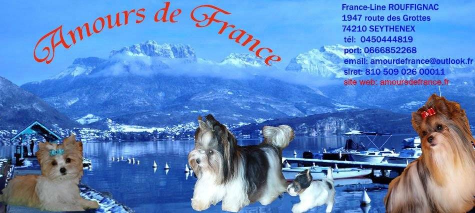 France-line