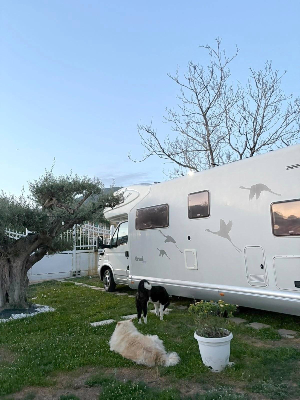 Giottiline Giottiline